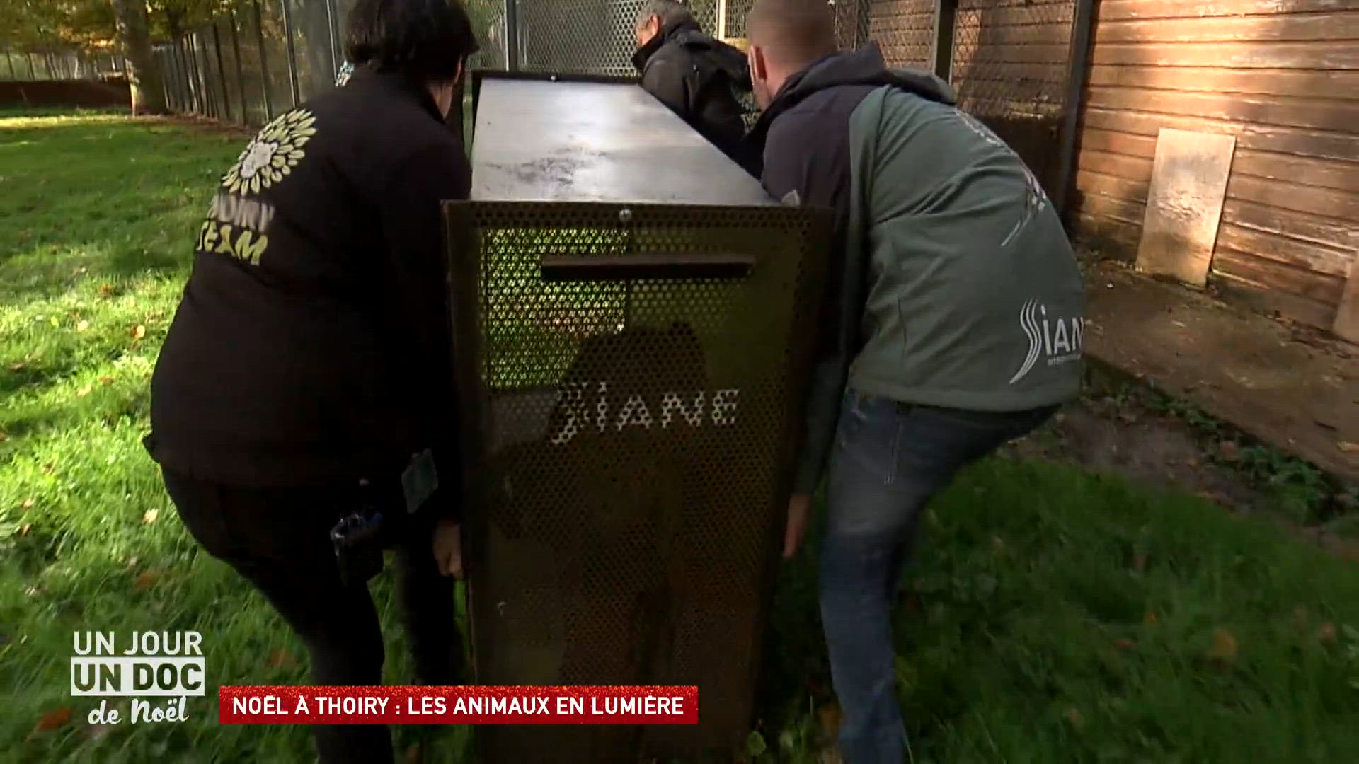 Noël à Thoiry : les animaux en lumière