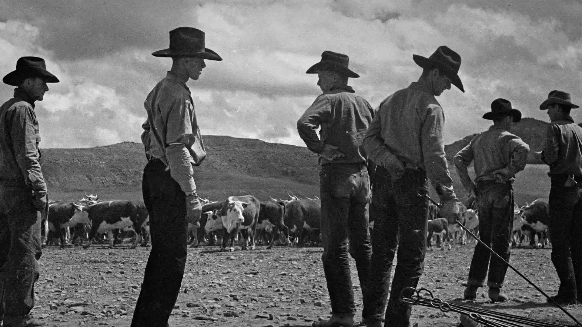 8. rész - Johnson megyei háborúk