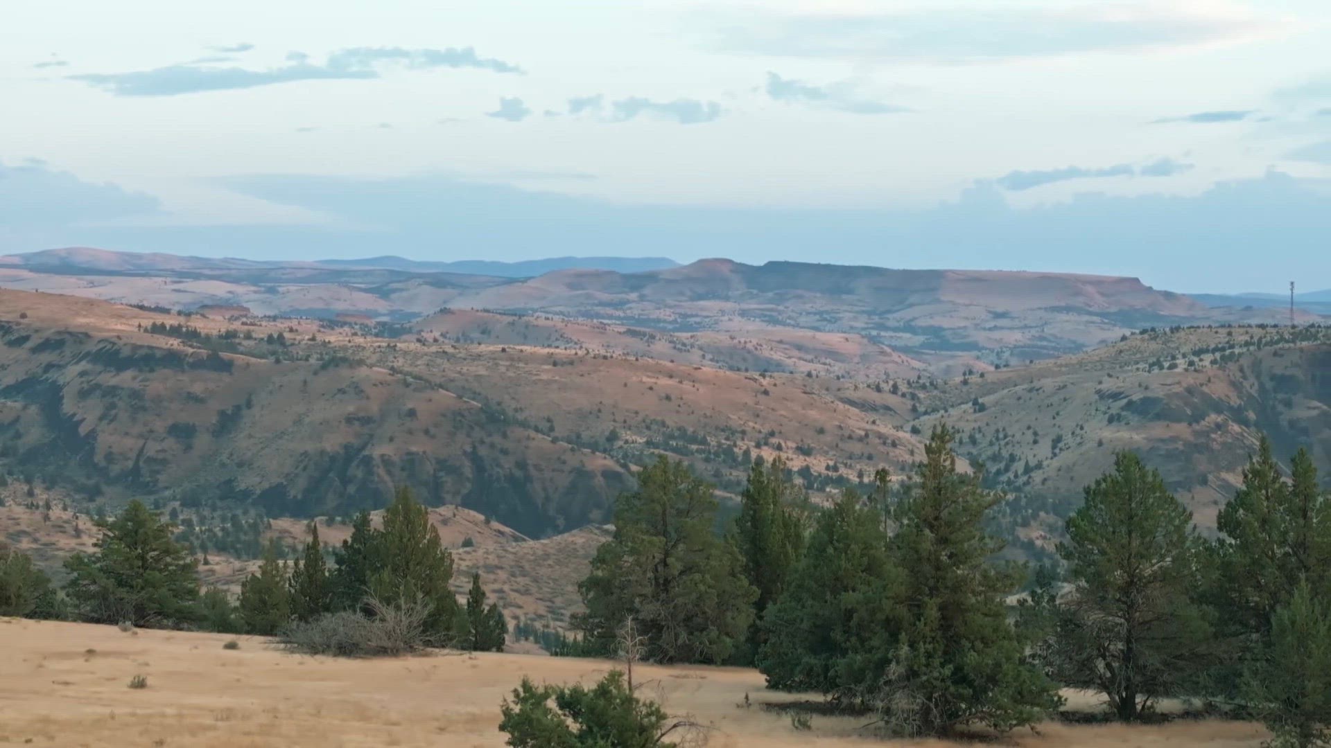 3. rész - Megmagyarázhatatlan szarvasmarha-csonkítások