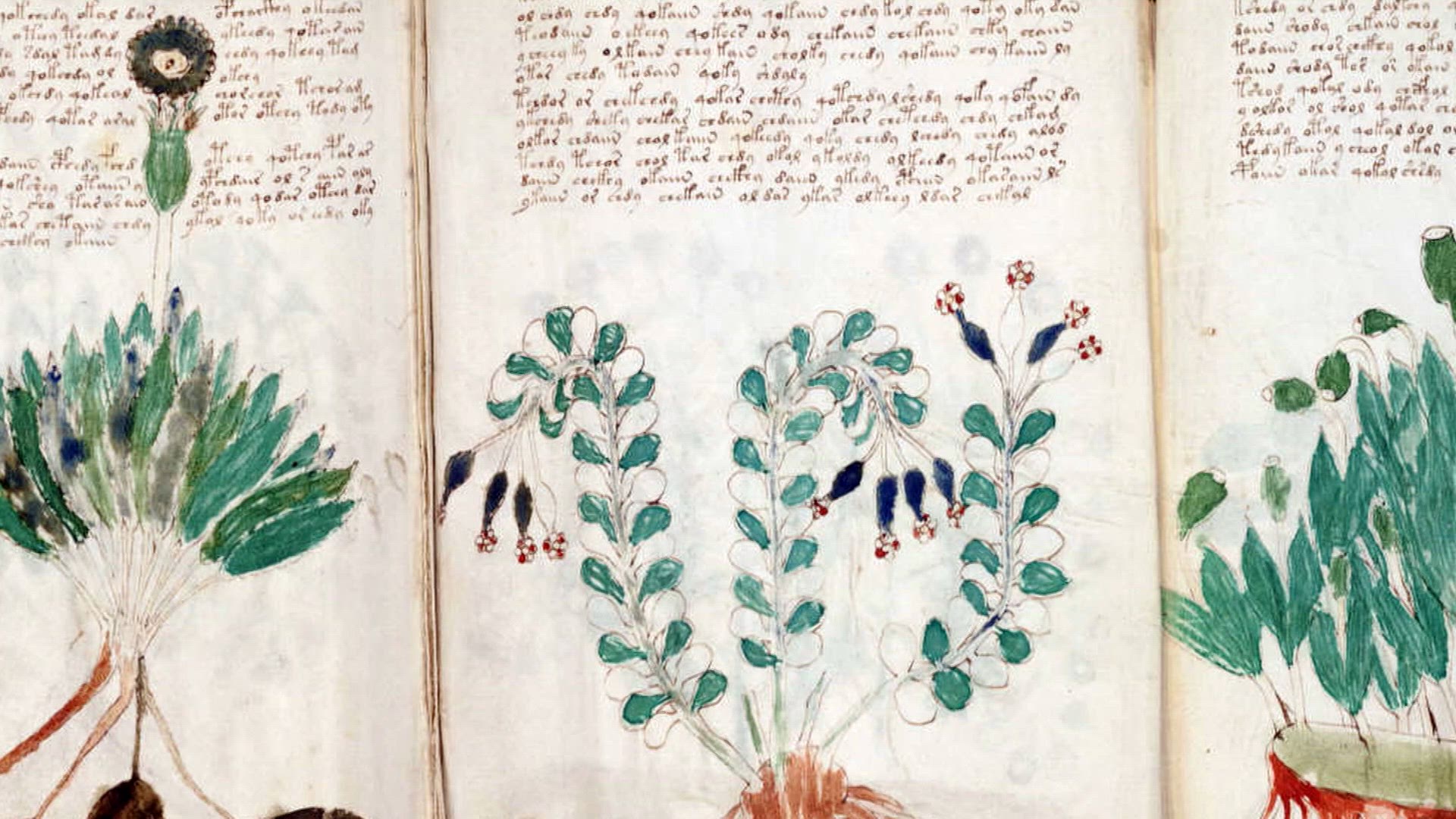 6. rész - Érmék, átkok, királyok