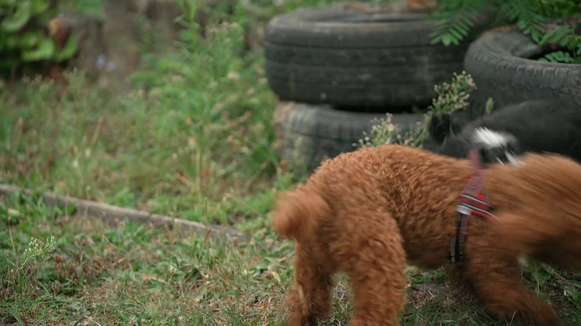 1. évad 5. rész - Kajdi Csaba