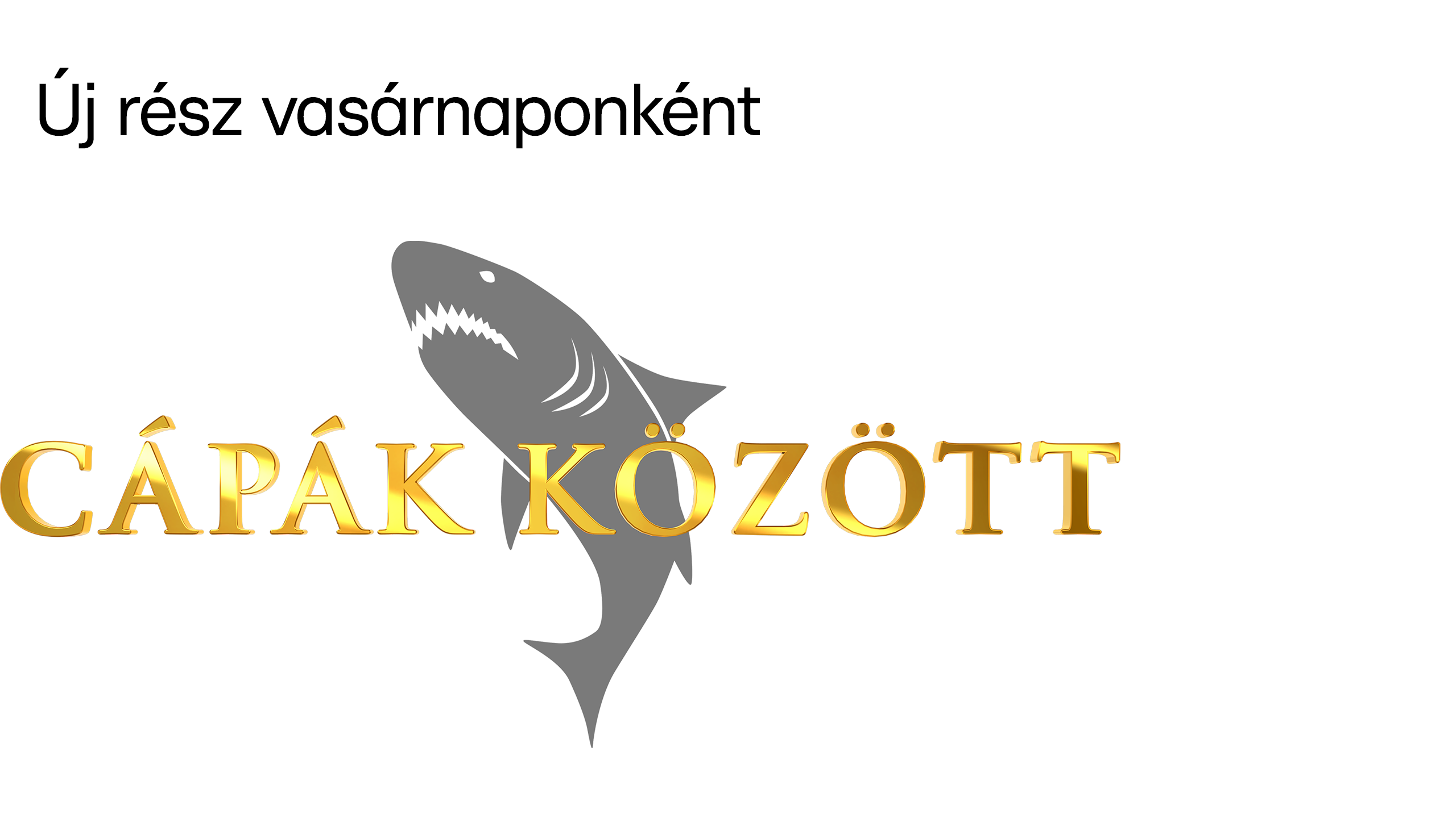 Cápák között