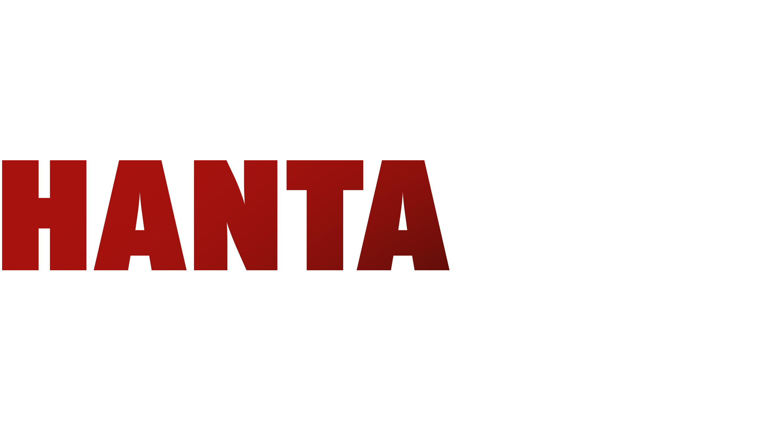 Hanta boy