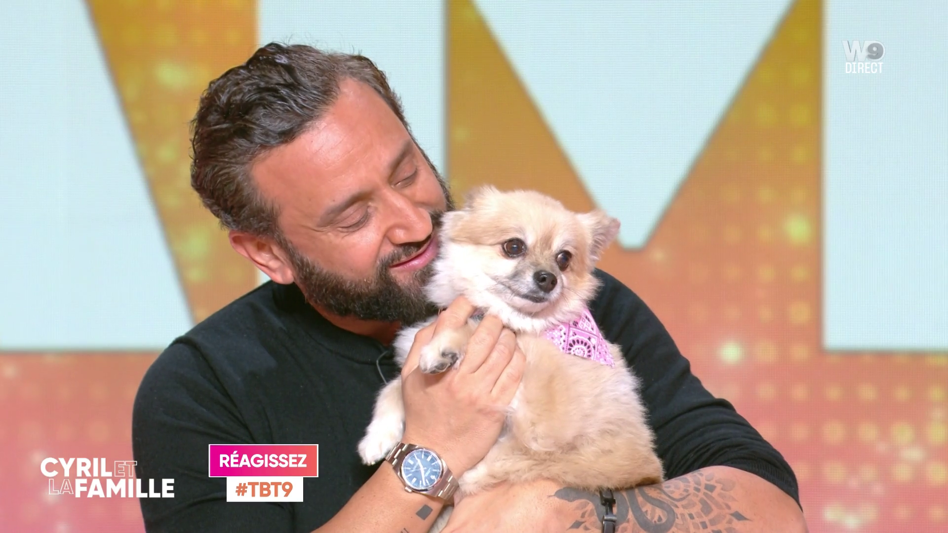 Cyril Hanouna nous présente sa chienne : Nala !