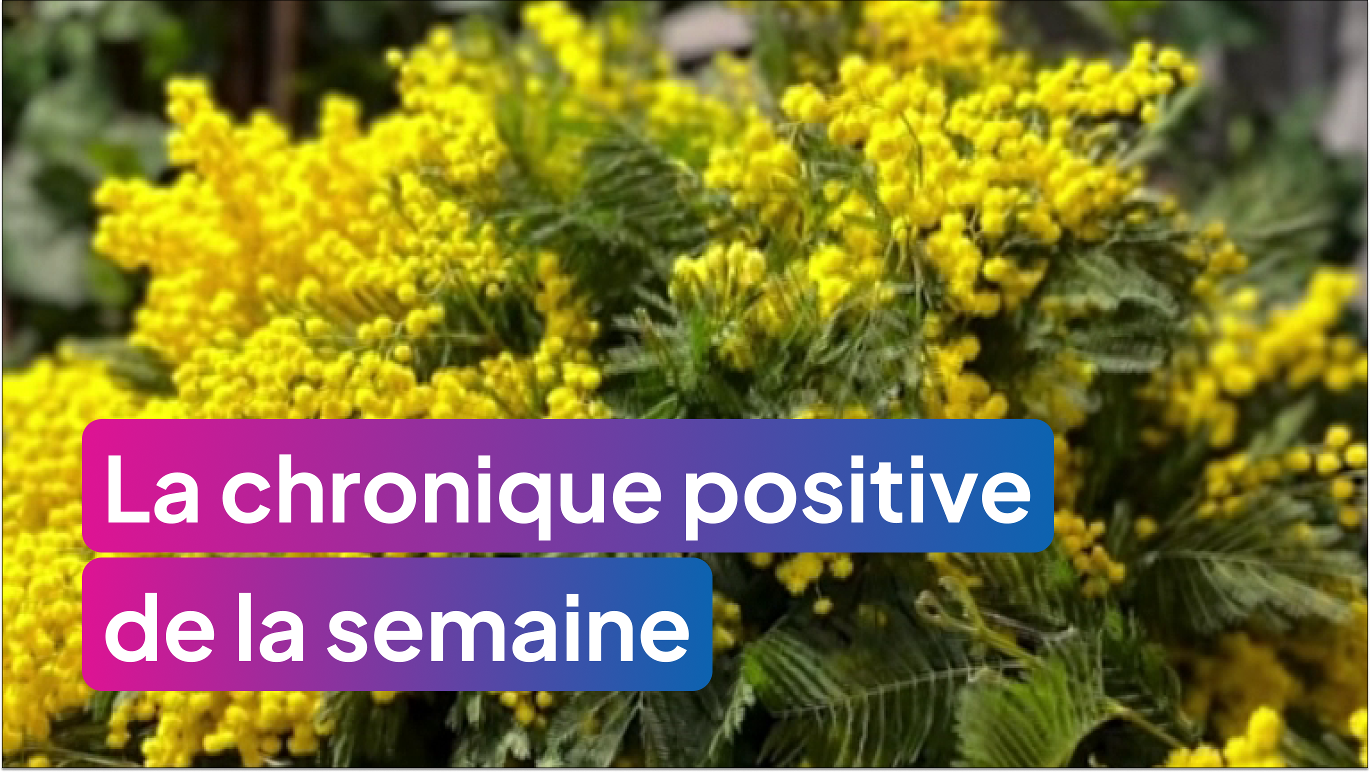 Inspirez-nous du samedi 17 janvier