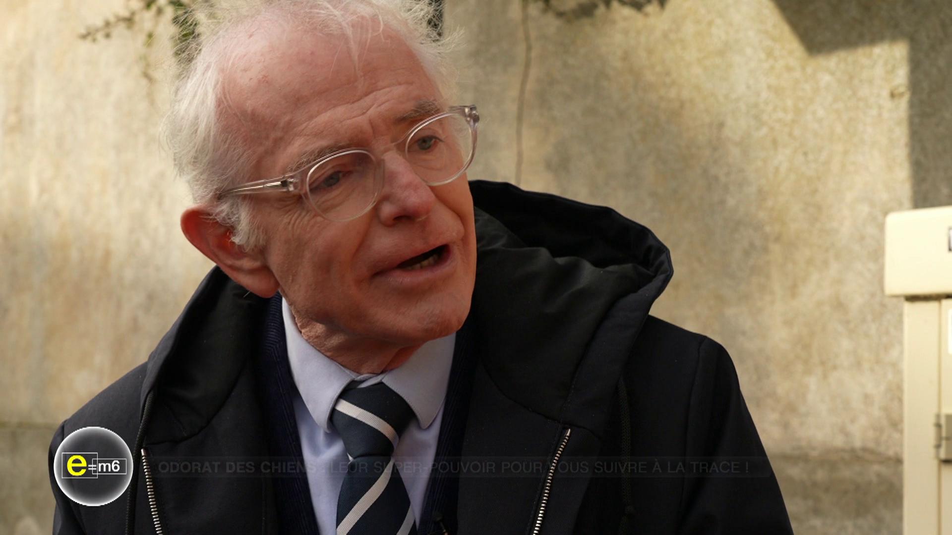 Toiles d'araignées, odorat des chiens : ces animaux surpassent les humains !