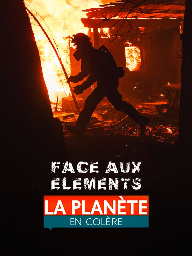 Face aux éléments