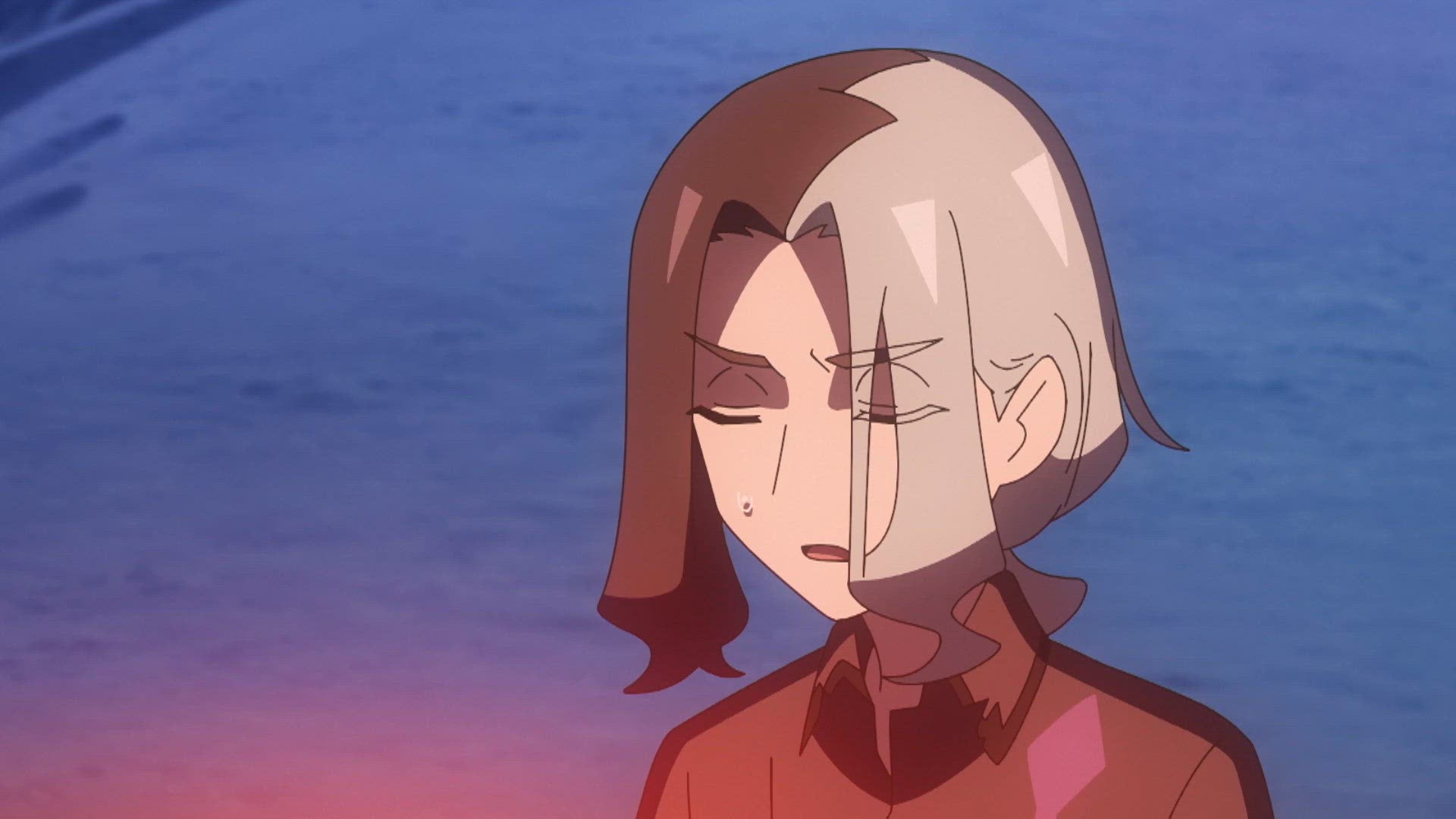 Le souhait de Charbambin