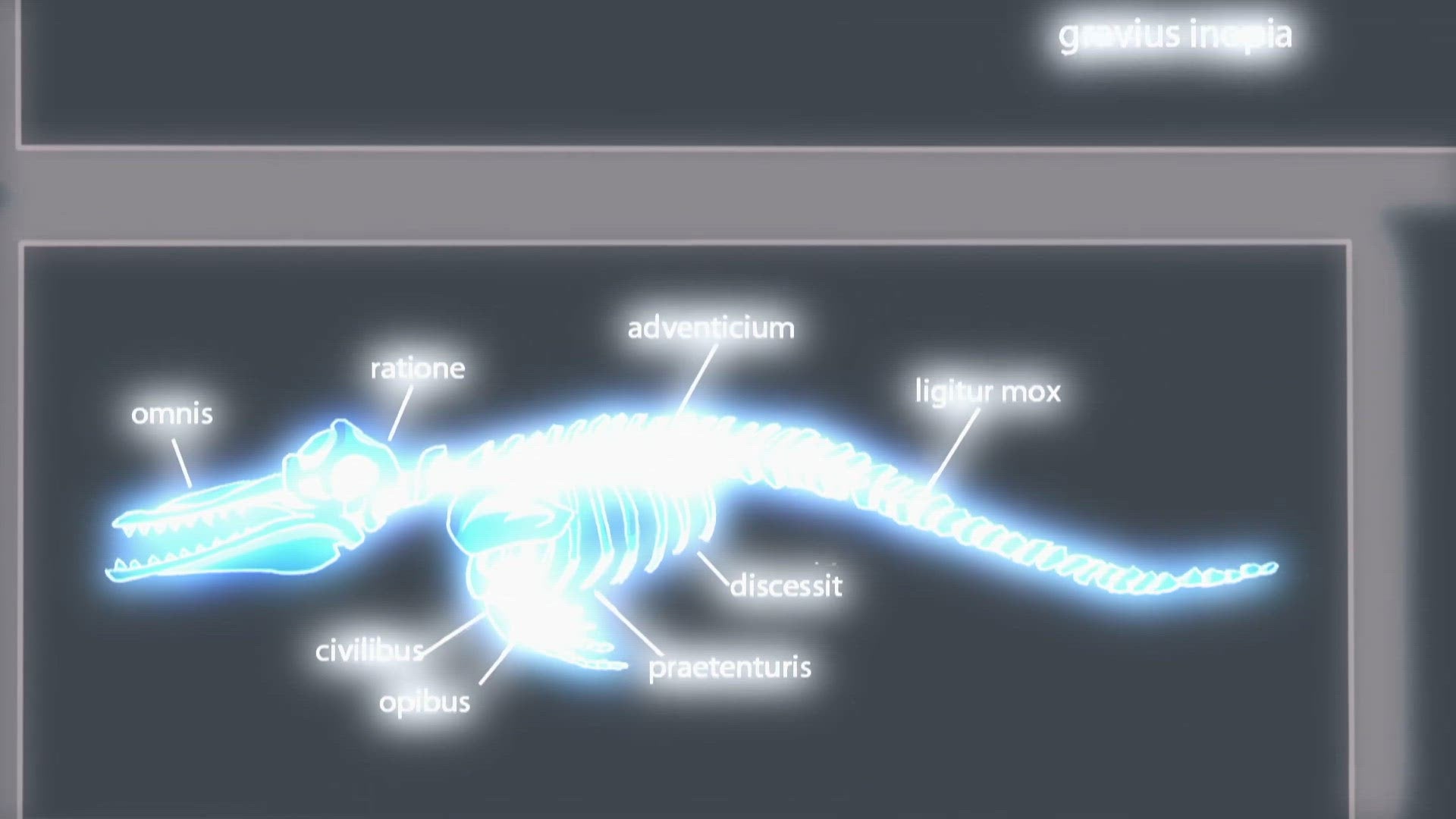 L'algue mystérieuse