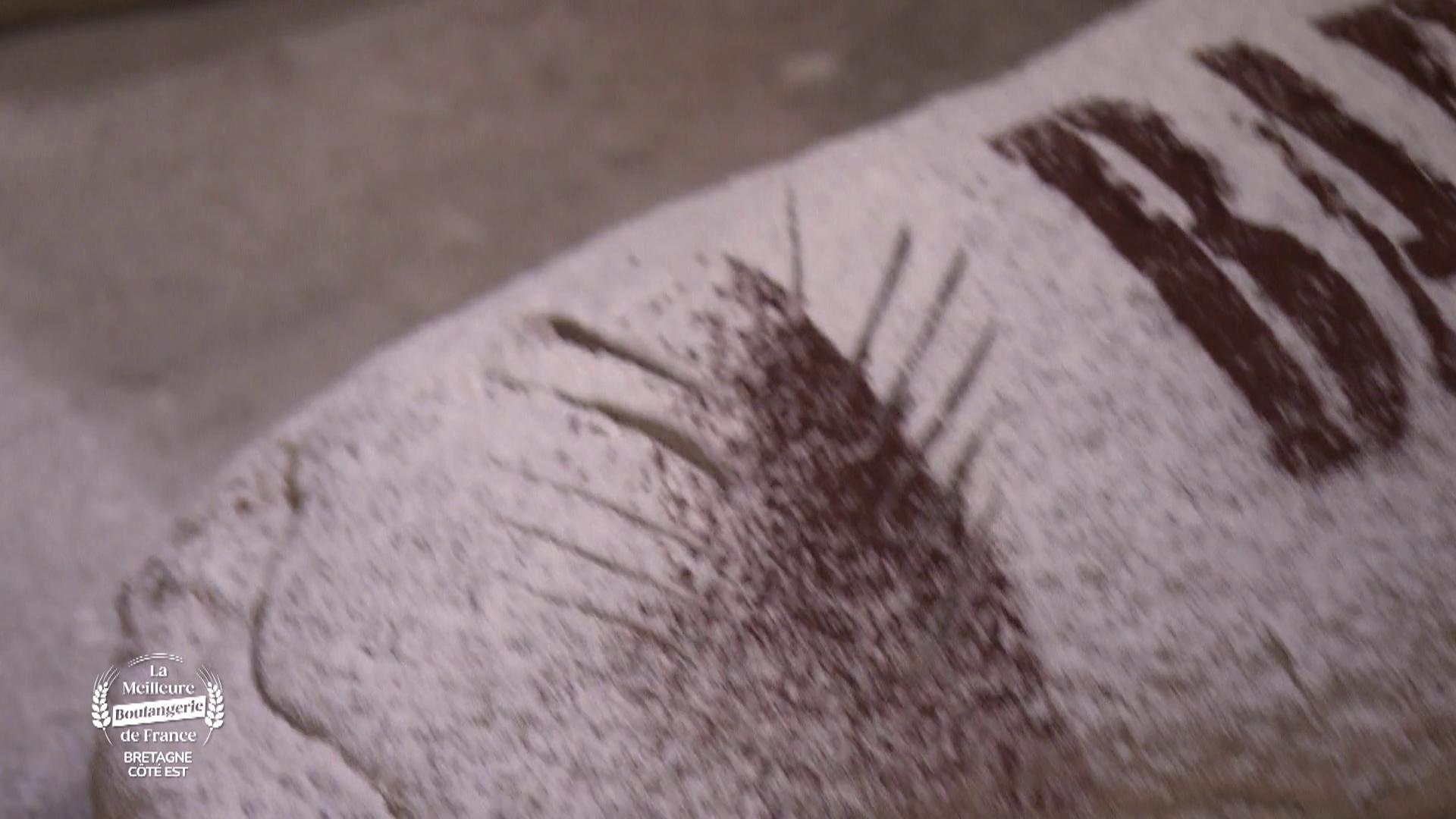 J1 : Bretagne - côté Est