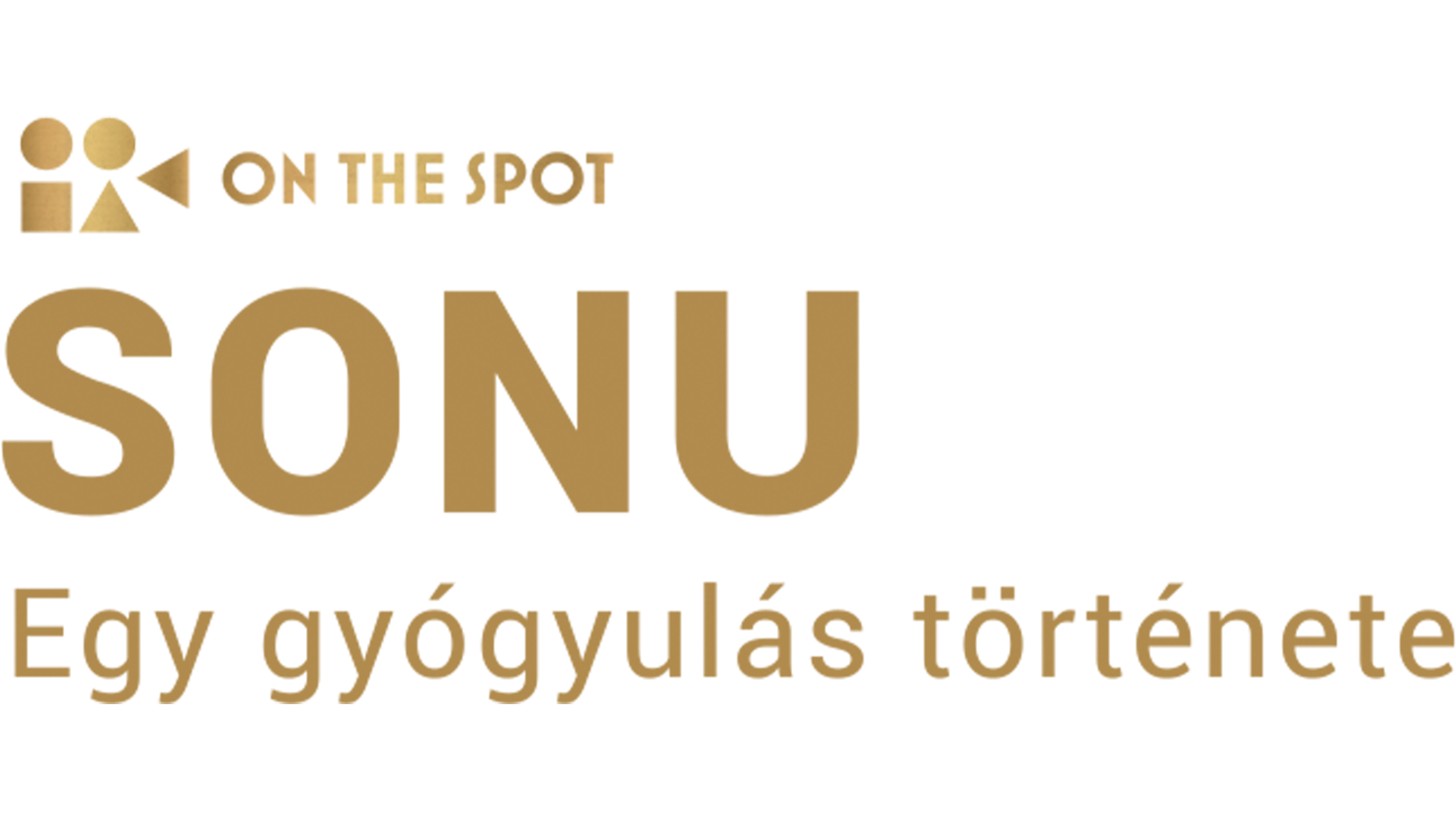 On the Spot: Sonu - Egy gyógyulás története