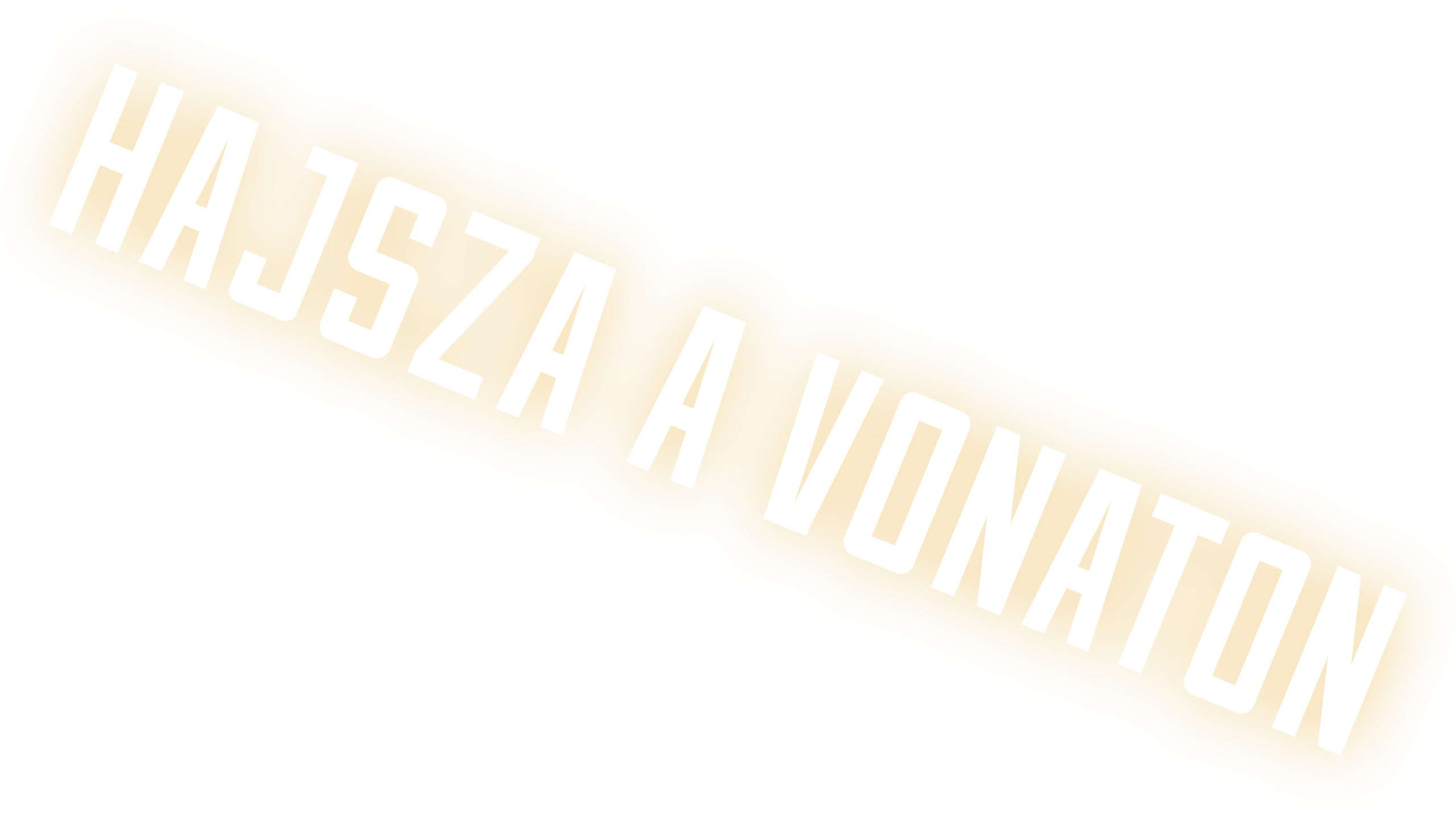 Hajsza a vonaton