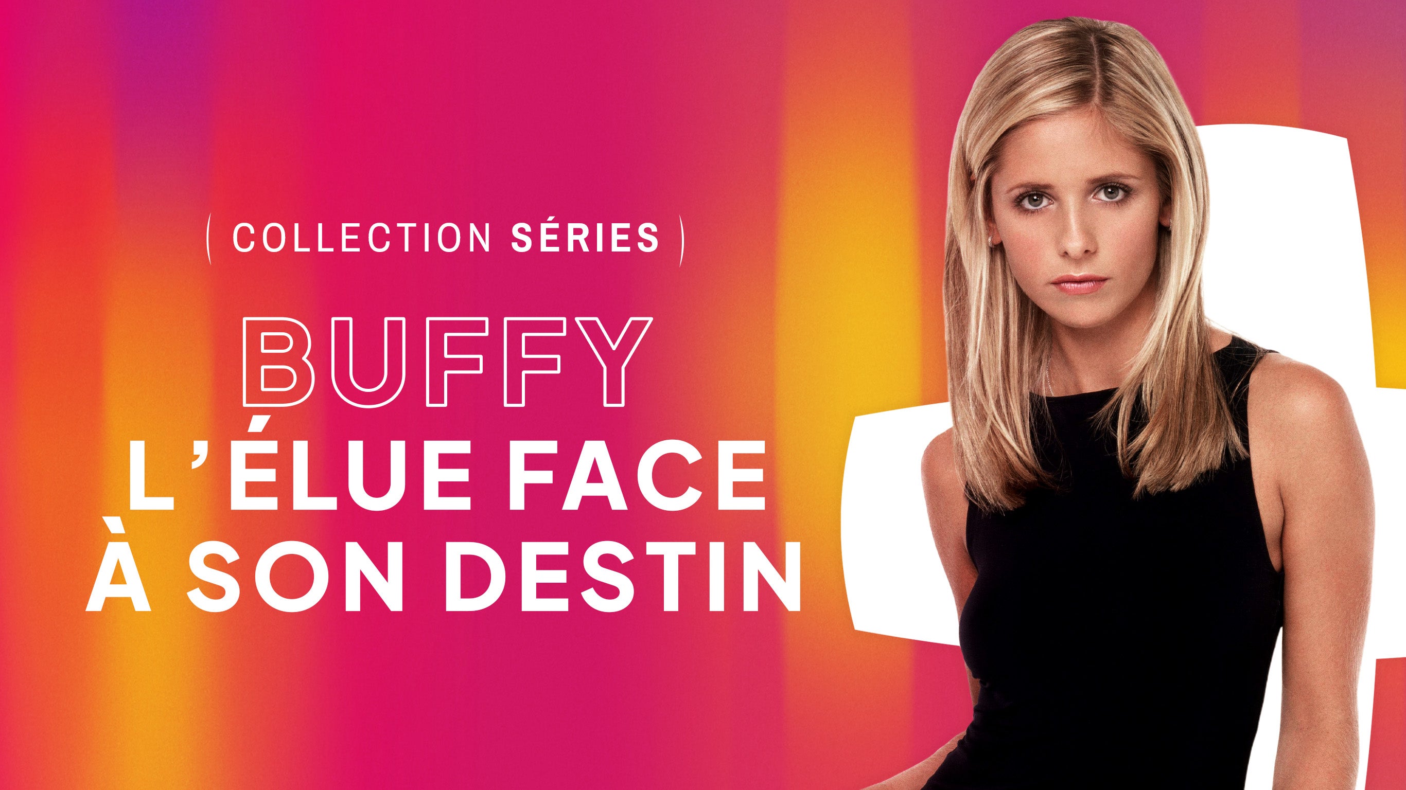 Collection - Buffy : l’Élue face à son destin