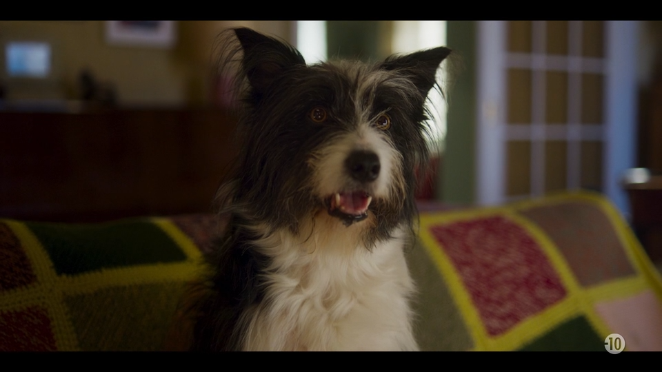 S3 E2 - Chien trois (2/2)