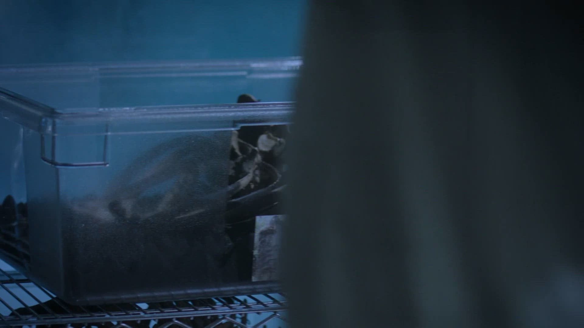 S3 E8 - Le serment des amants