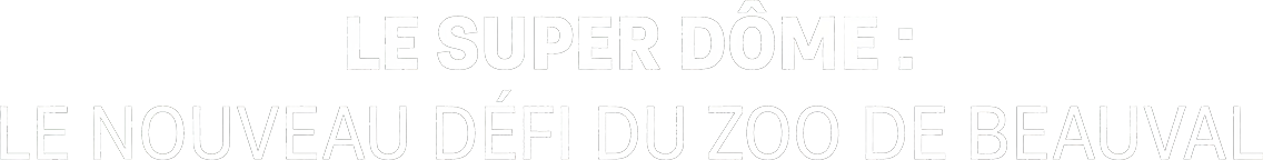 Le super dôme : le nouveau défi du zoo de Beauval
