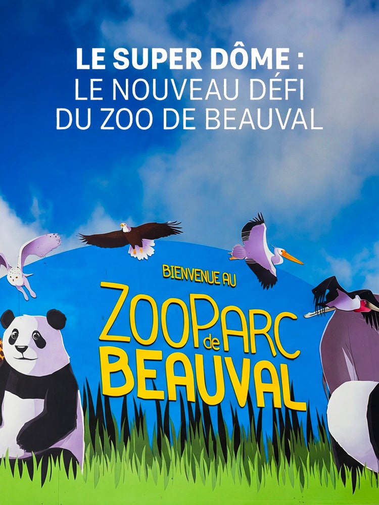 Le super dôme : le nouveau défi du zoo de Beauval