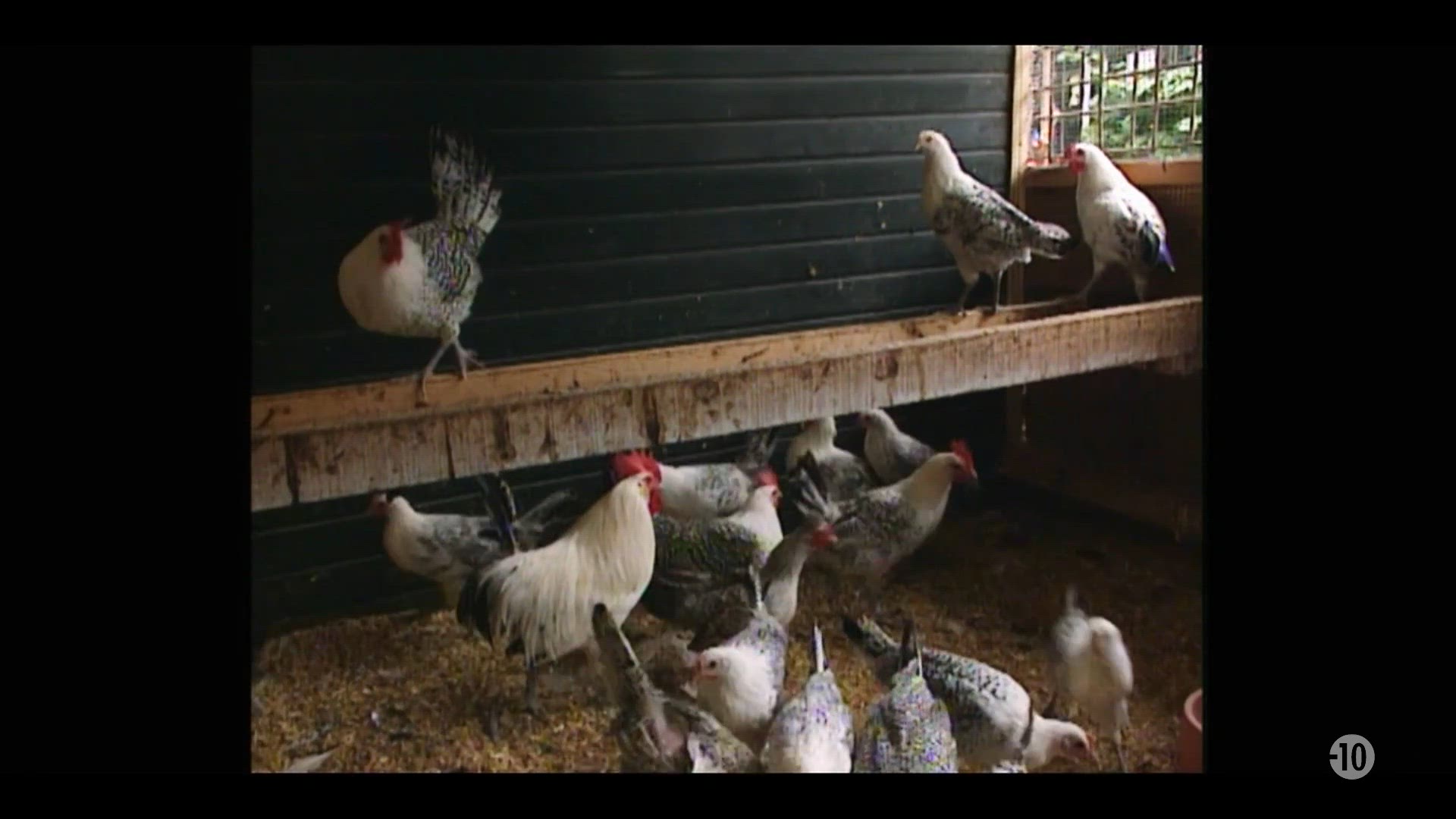 Un enfant à tout prix