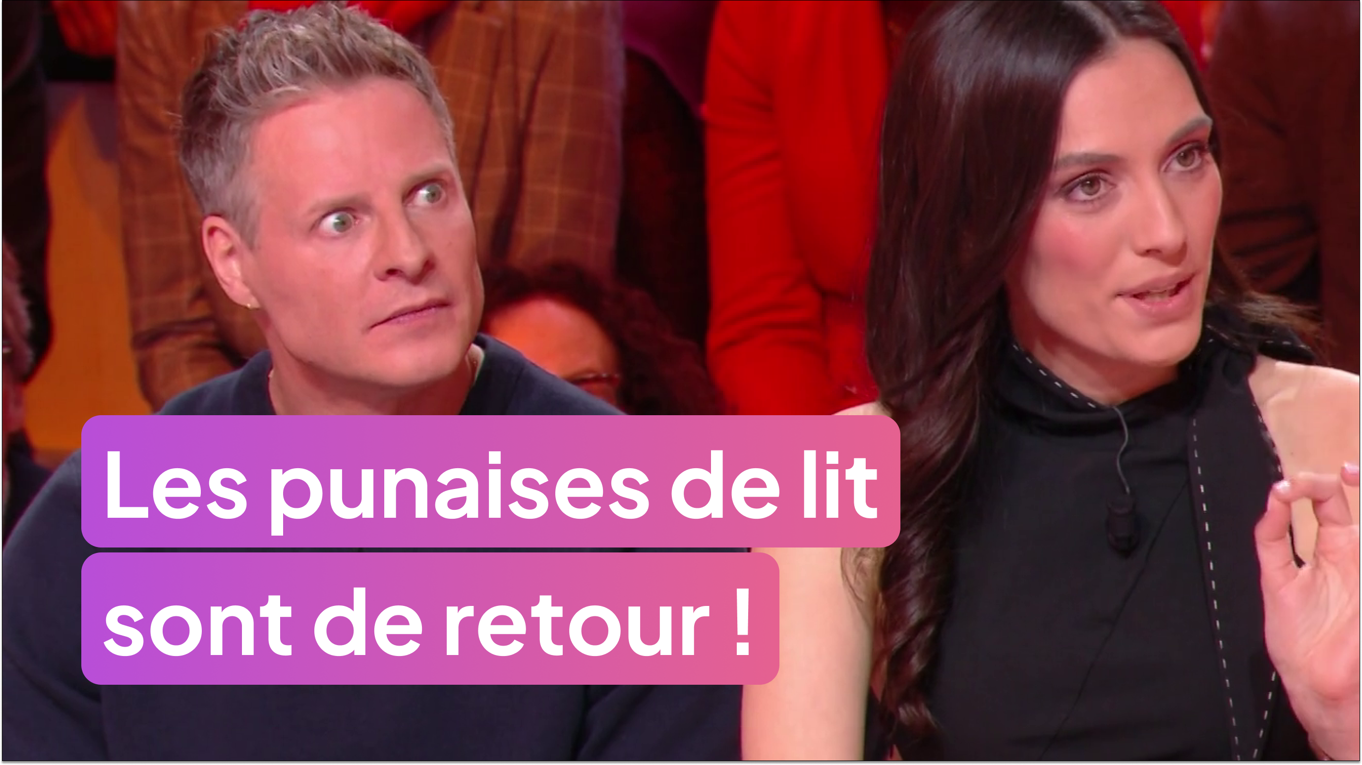 Attention : les punaises de lit sont de retour !