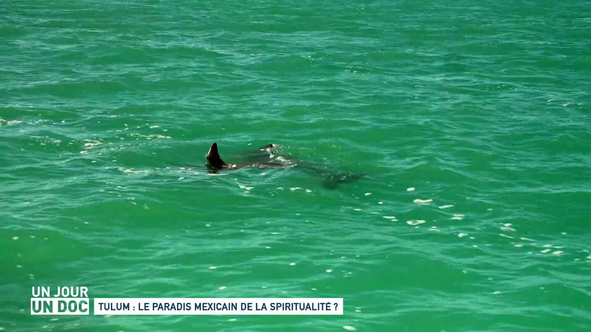 Tulum : le paradis mexicain de la spiritualité ?