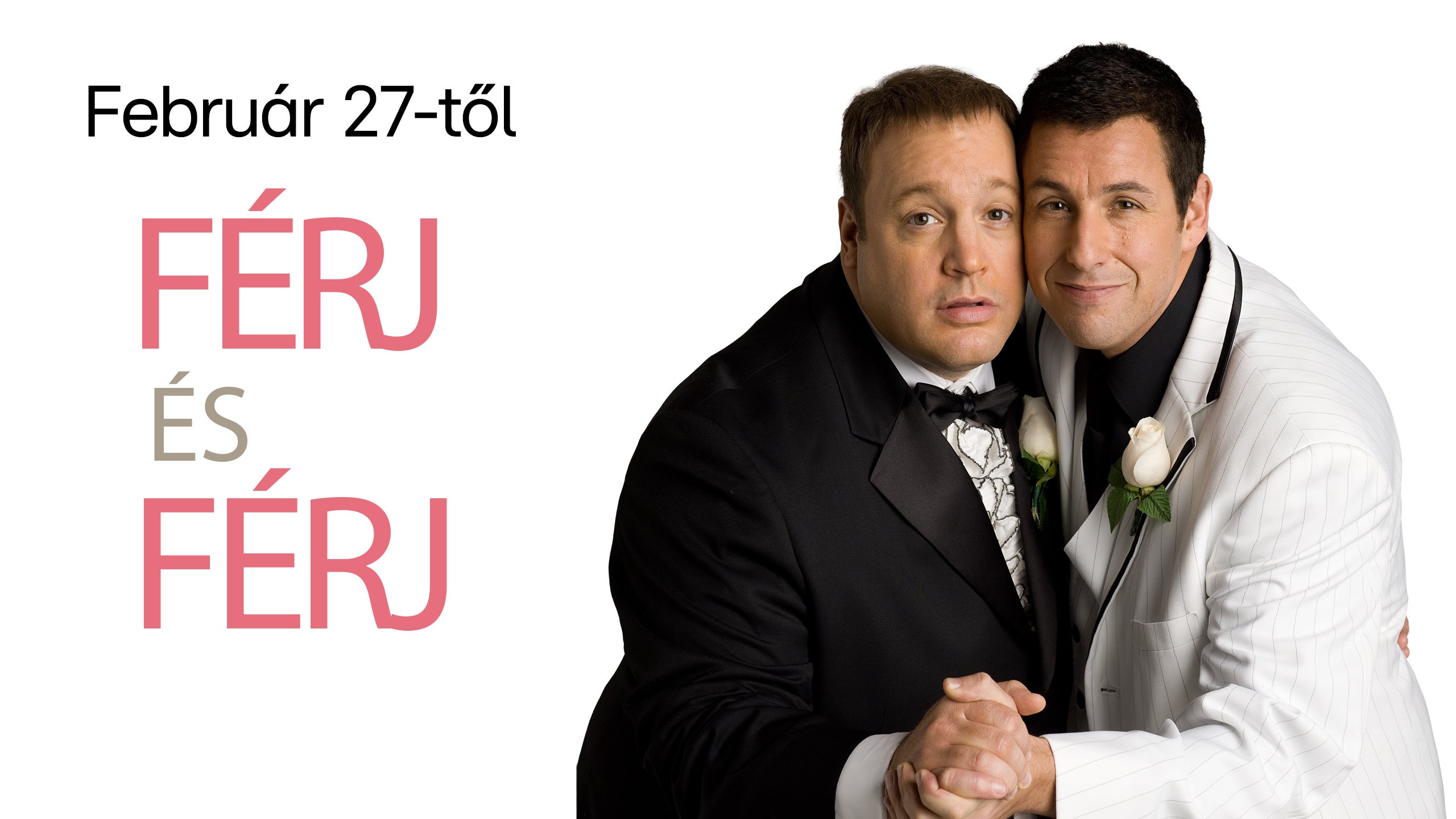 Megy ám a zacsipacsi! | Részlet