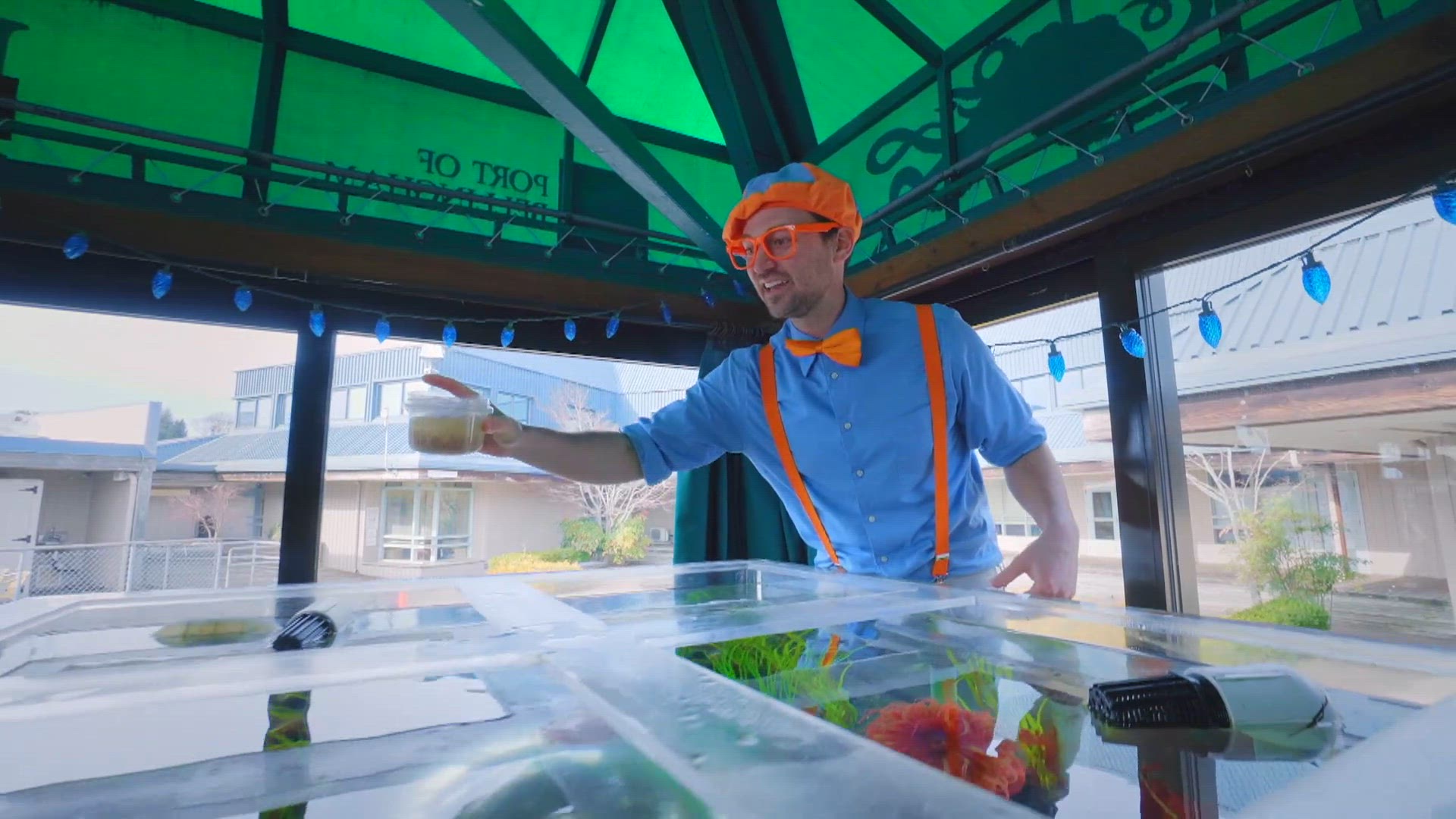 Blippi découvre les créatures marines : à la rencontre des amis de l'océan