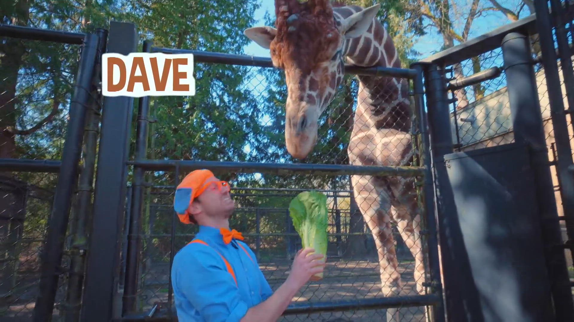 Blippi visite le zoo