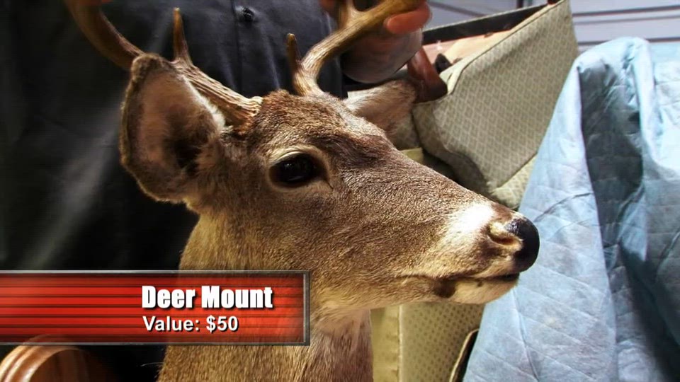 6. rész - Nagy verseny Chicagóban