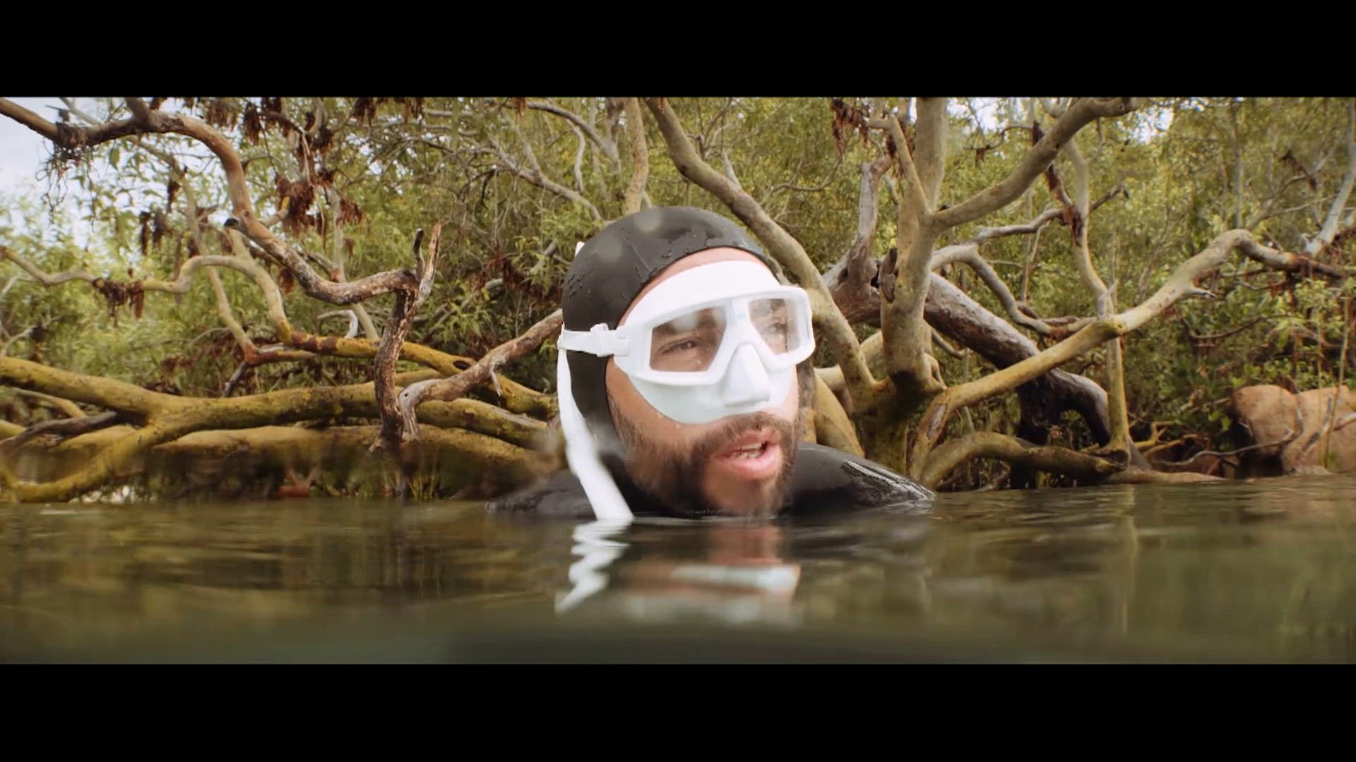 Épisode 3 - De la forêt aux récifs