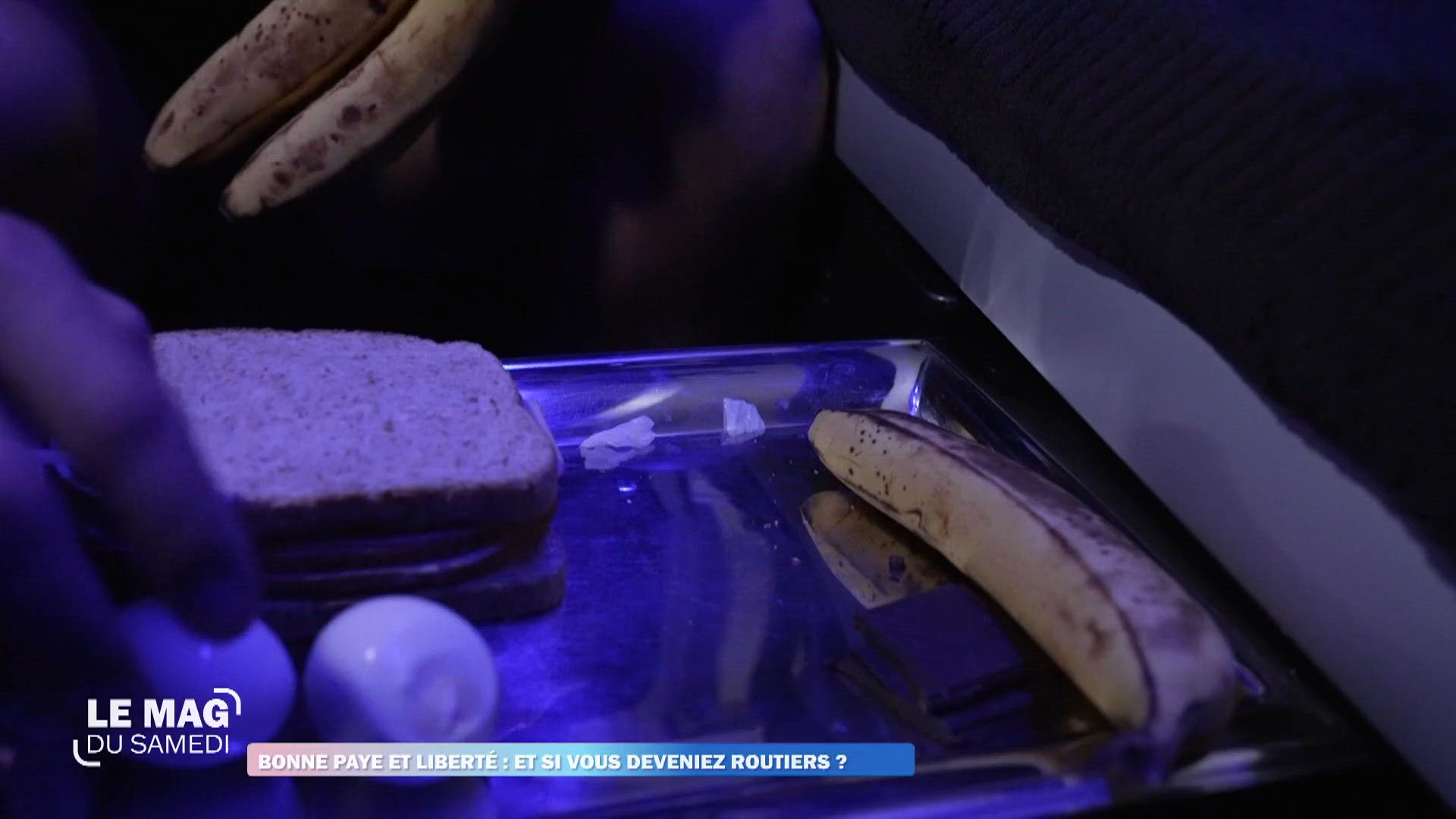 Bonne paye et liberté : et si vous deveniez routiers ?