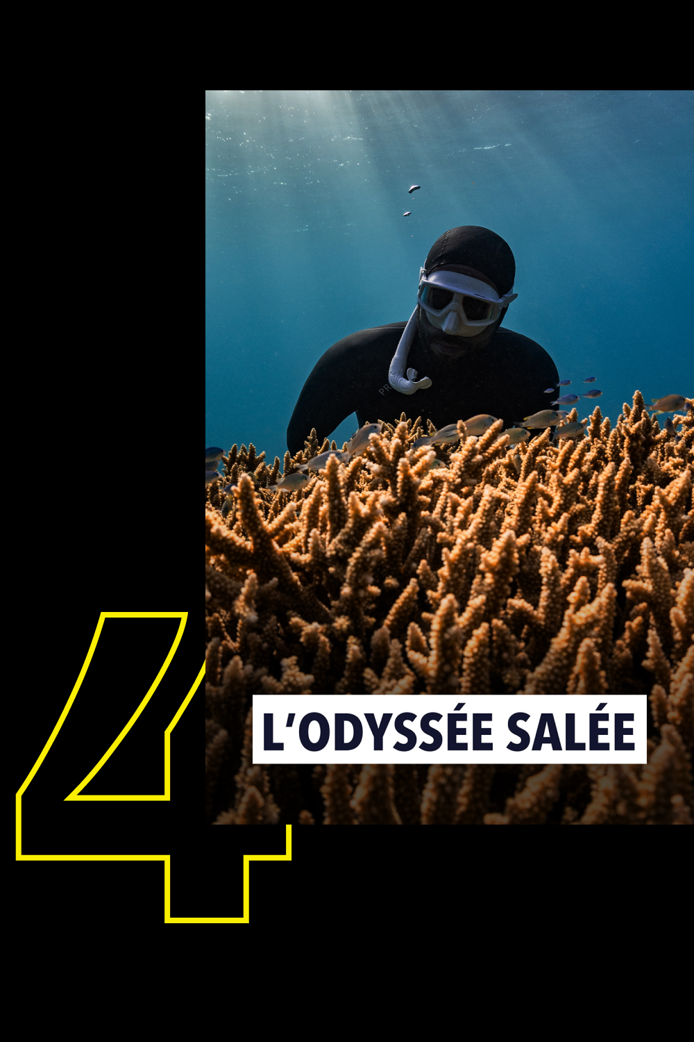 Top 4 - Info & société