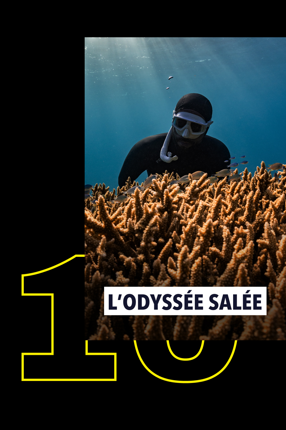 Top 10 - Info & société