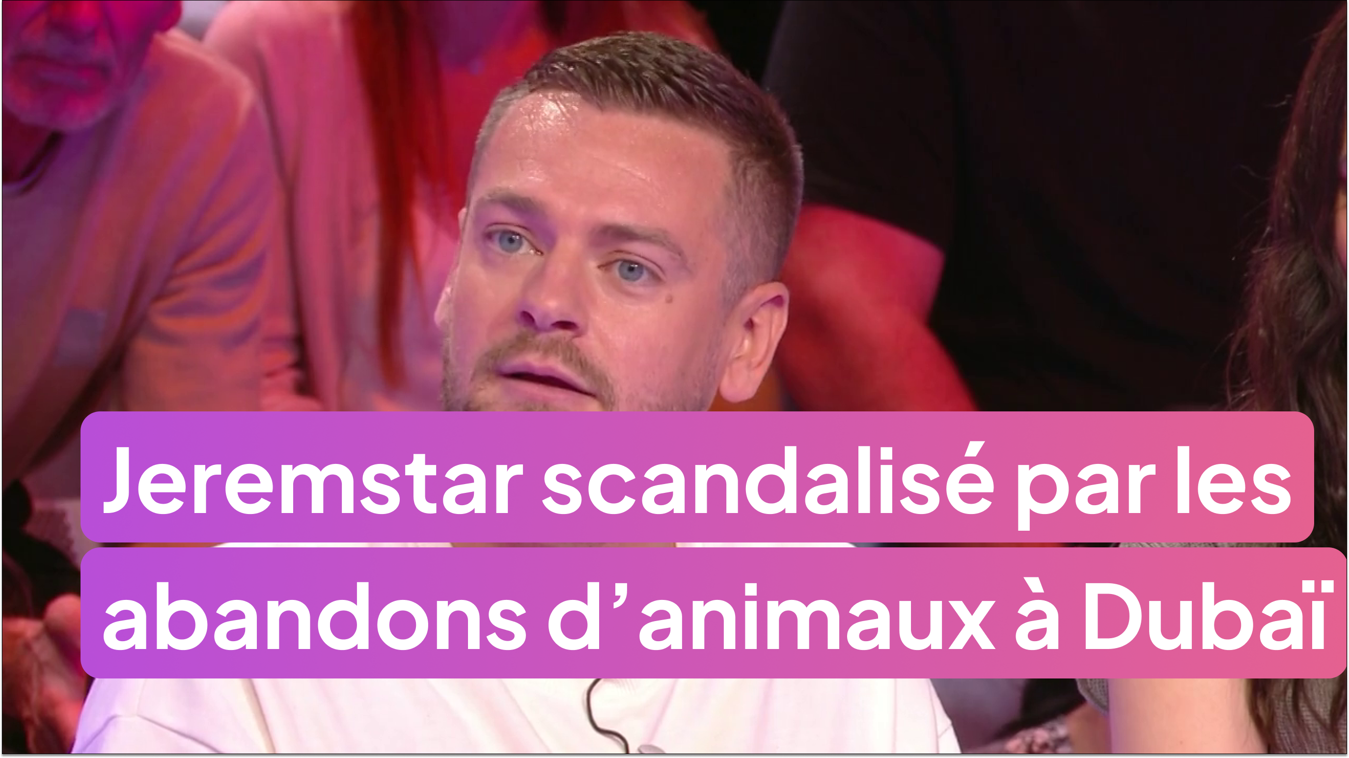 Jeremstar scandalisé par les abandons d’animaux à Dubaï !