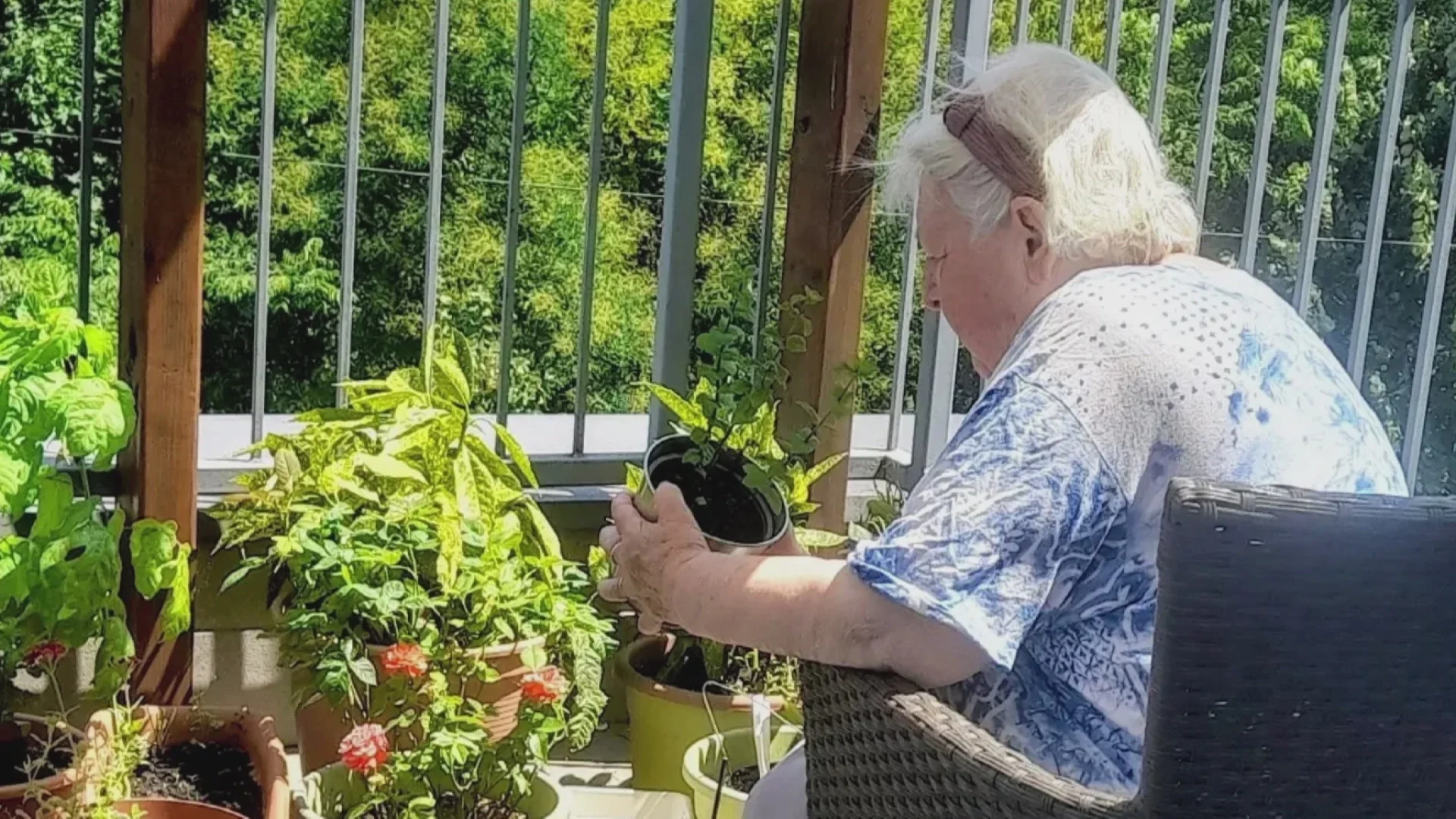 26-03-11 RTL Híradó