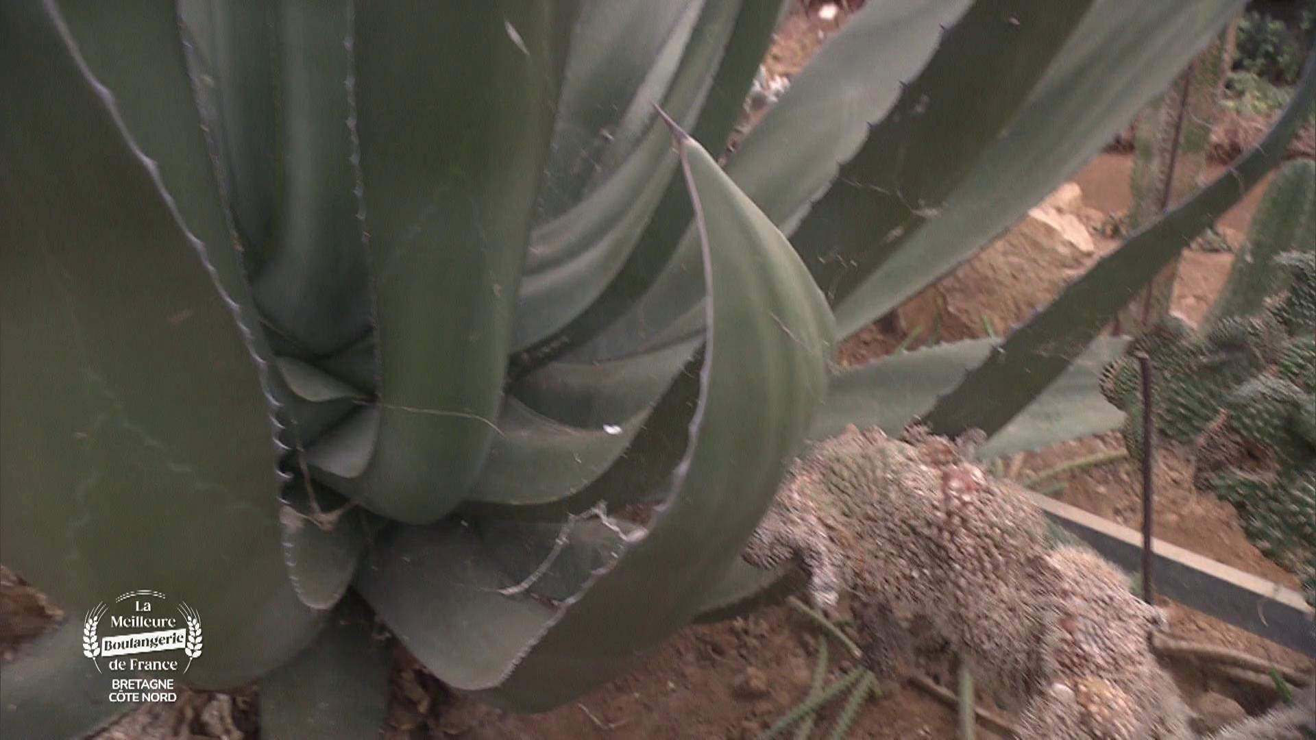 J1 : Bretagne - côté Nord
