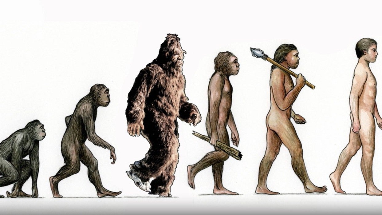 8. rész - Álcázott UFO, Nagylábú a levélben, kukkoló a hálószobában