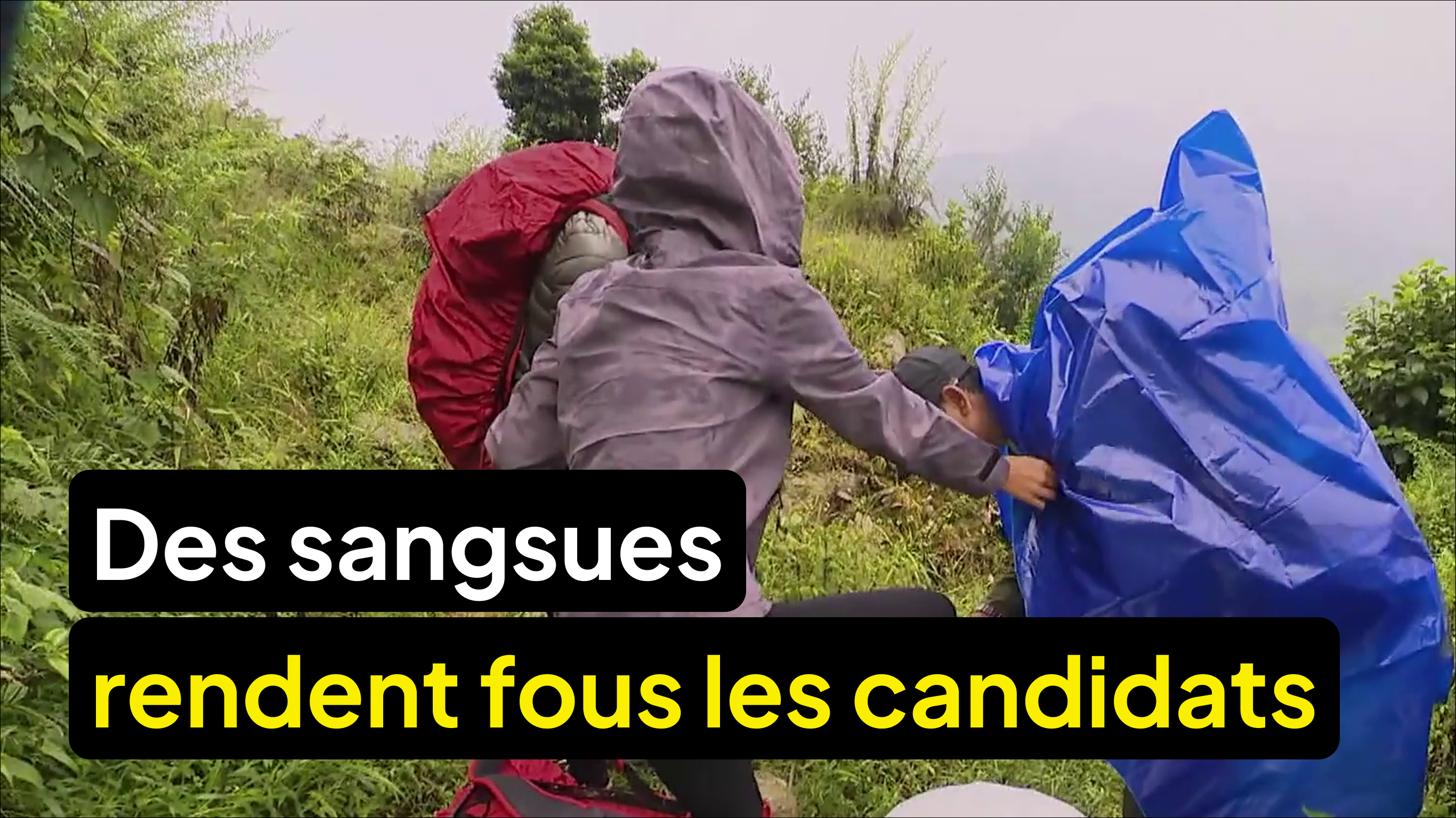 Un trek infesté de sangsues met les binômes à rude épreuve