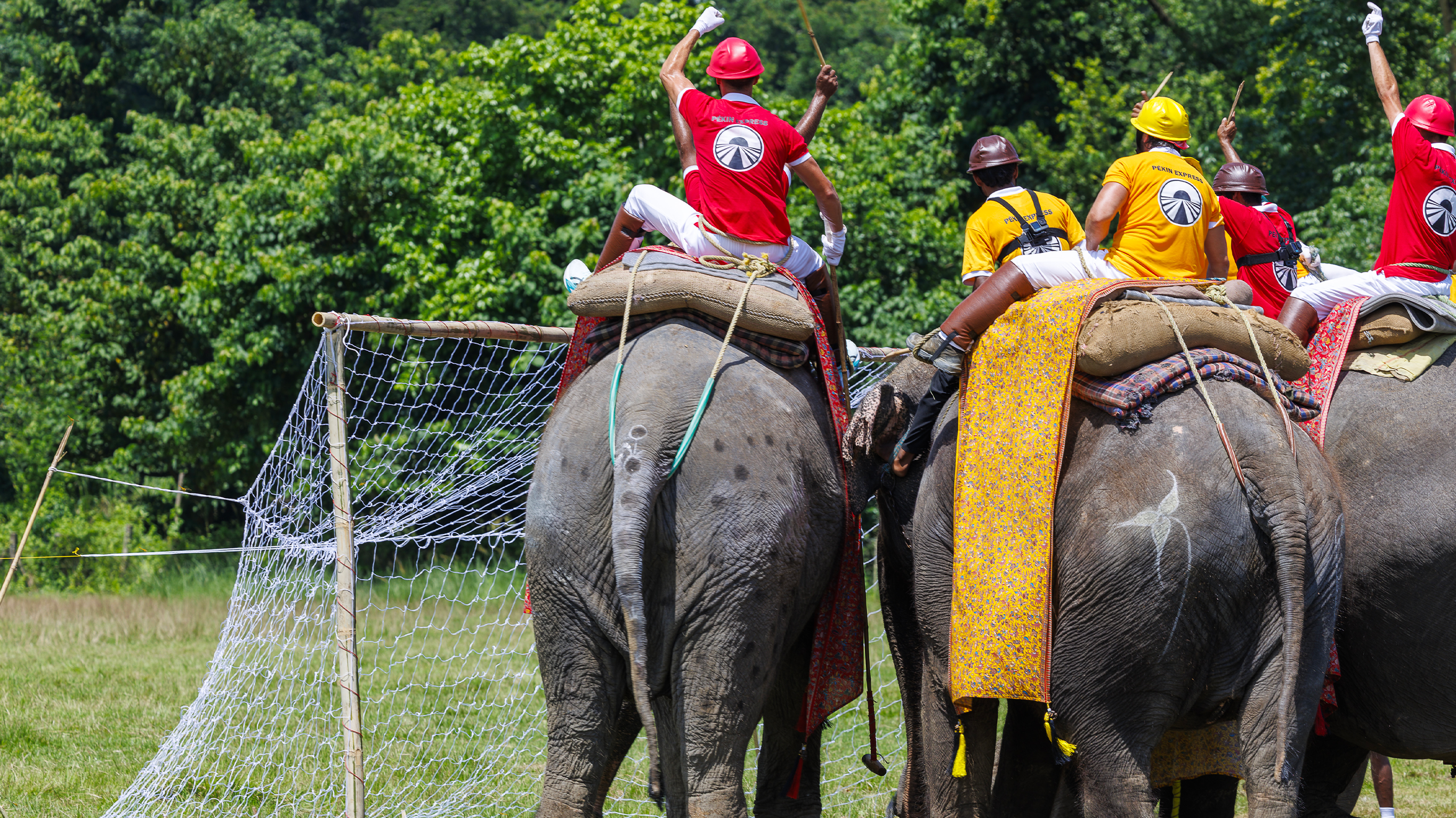 Les nerfs à rude épreuve