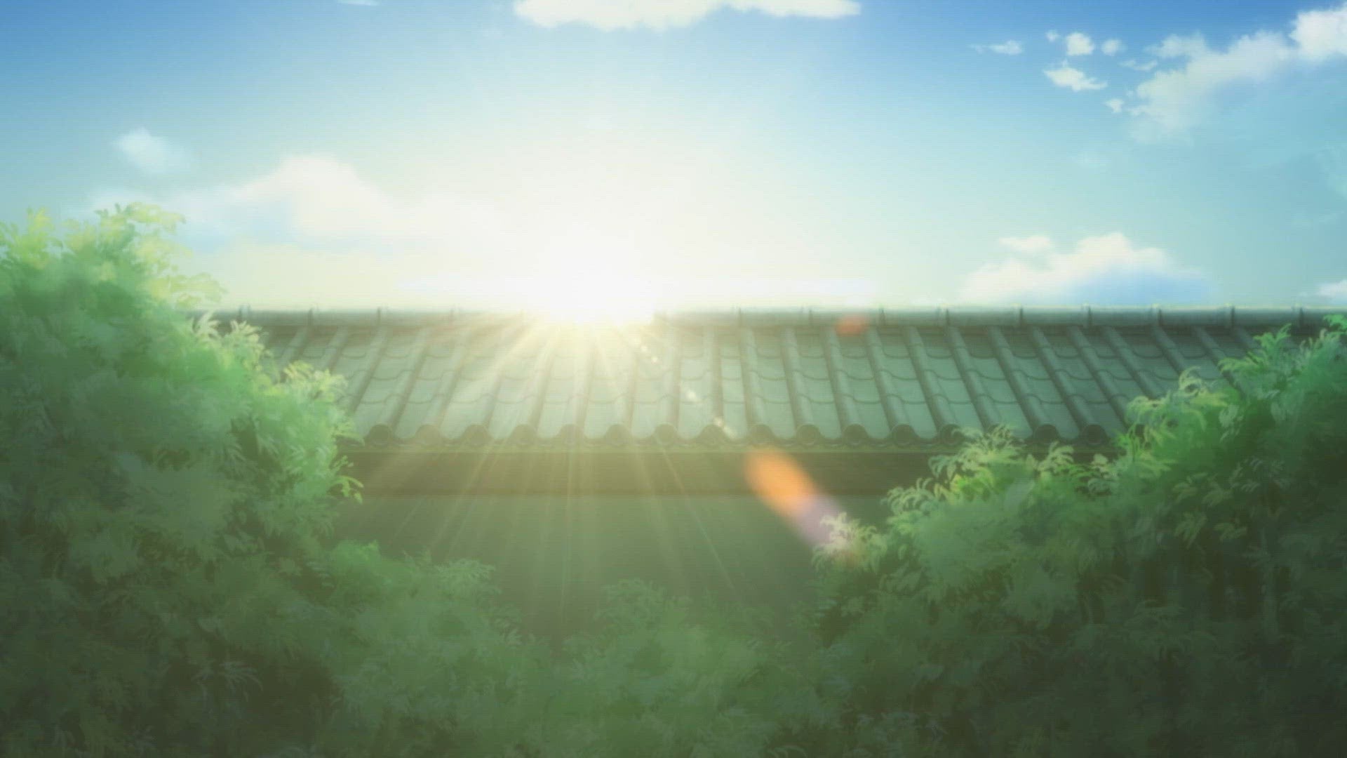 Le passé de Shiboroshi