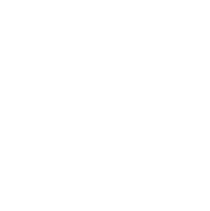 L'argent de la vieille