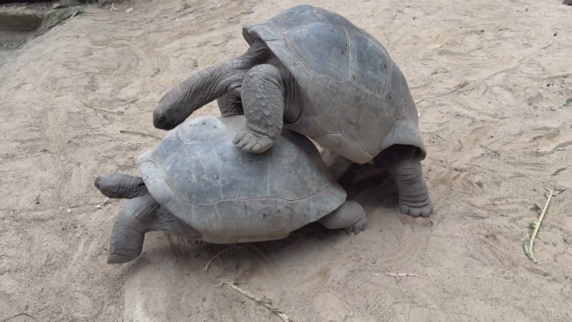 Fókusz Plusz 2026-03-28