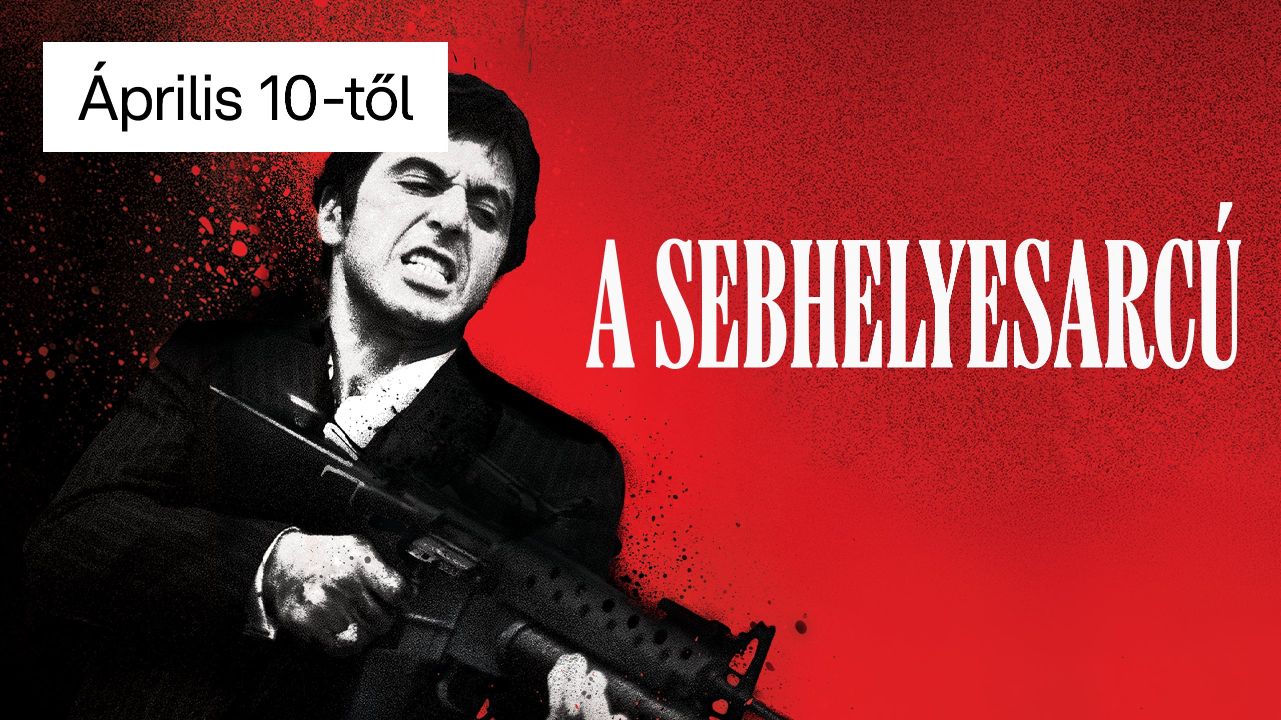 Tony Montana kólára cseréli a mosogatószert | Részlet