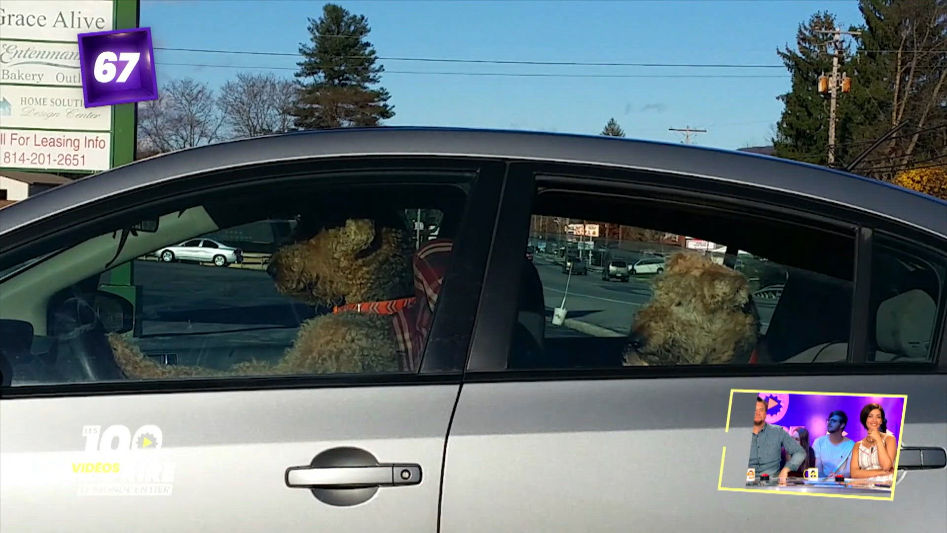 Les 100 vidéos qui ont fait rire le monde entier