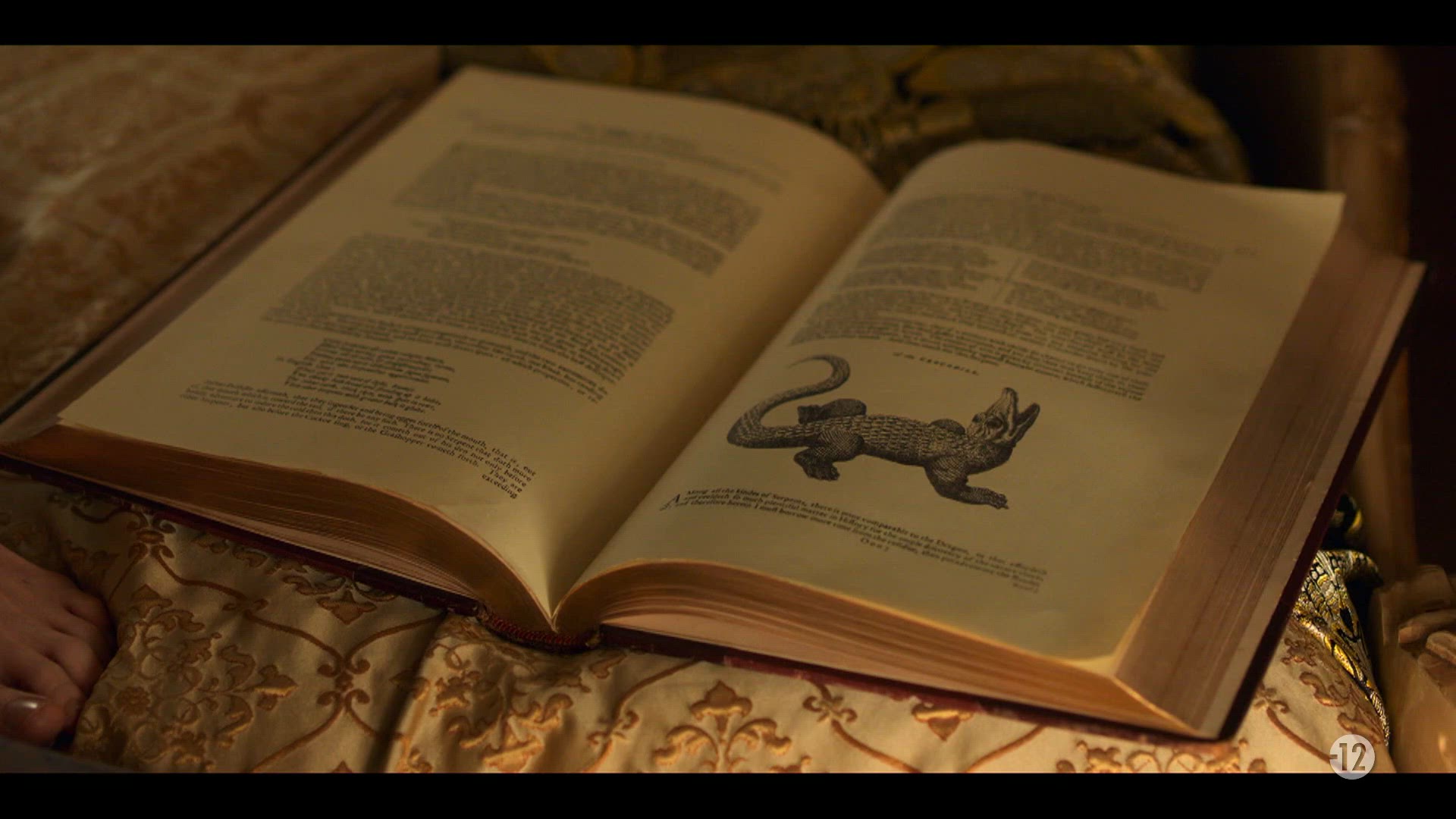 S2 E5 - Instinct animal