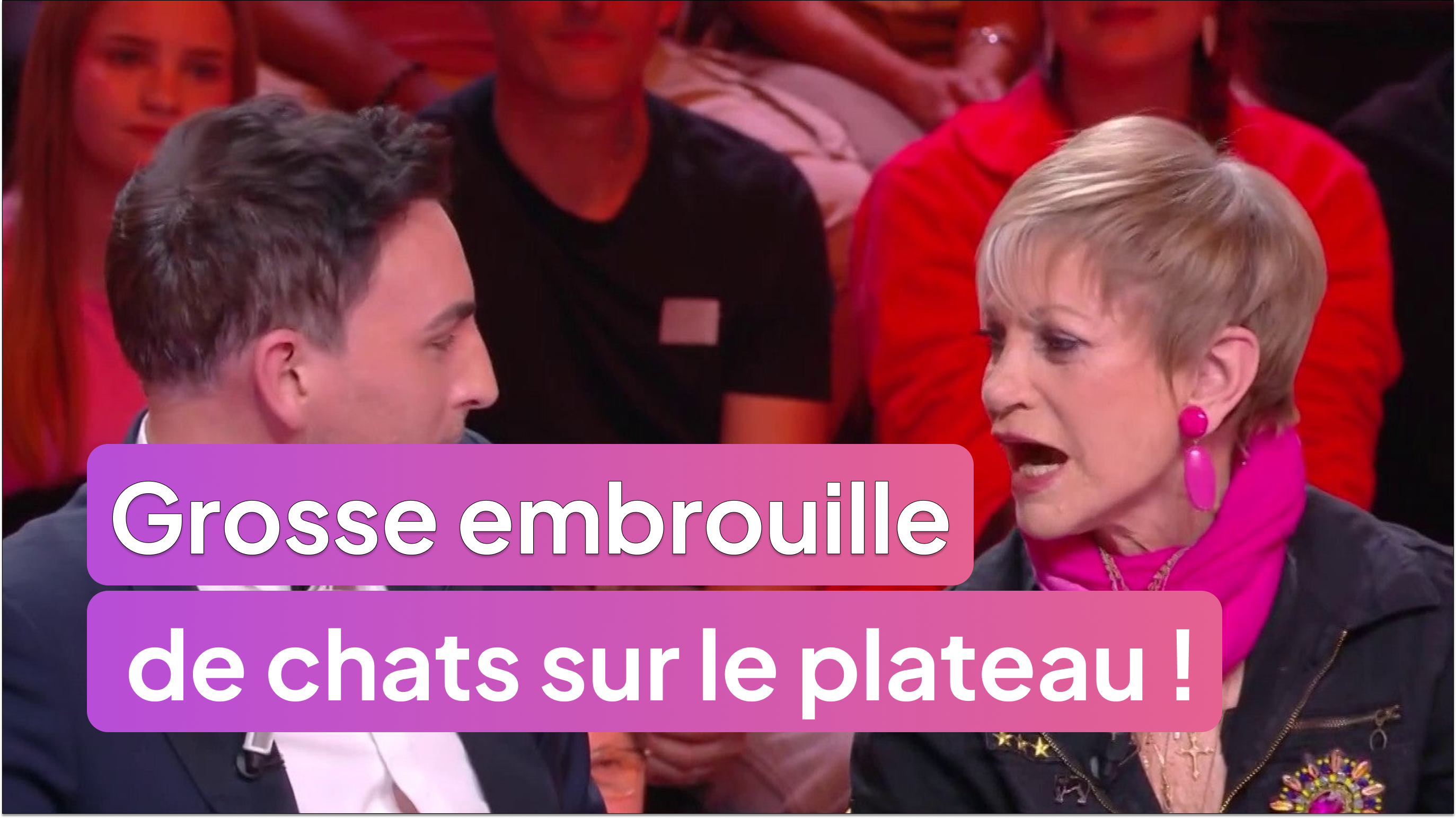 Grosse embrouille de chats sur le plateau !