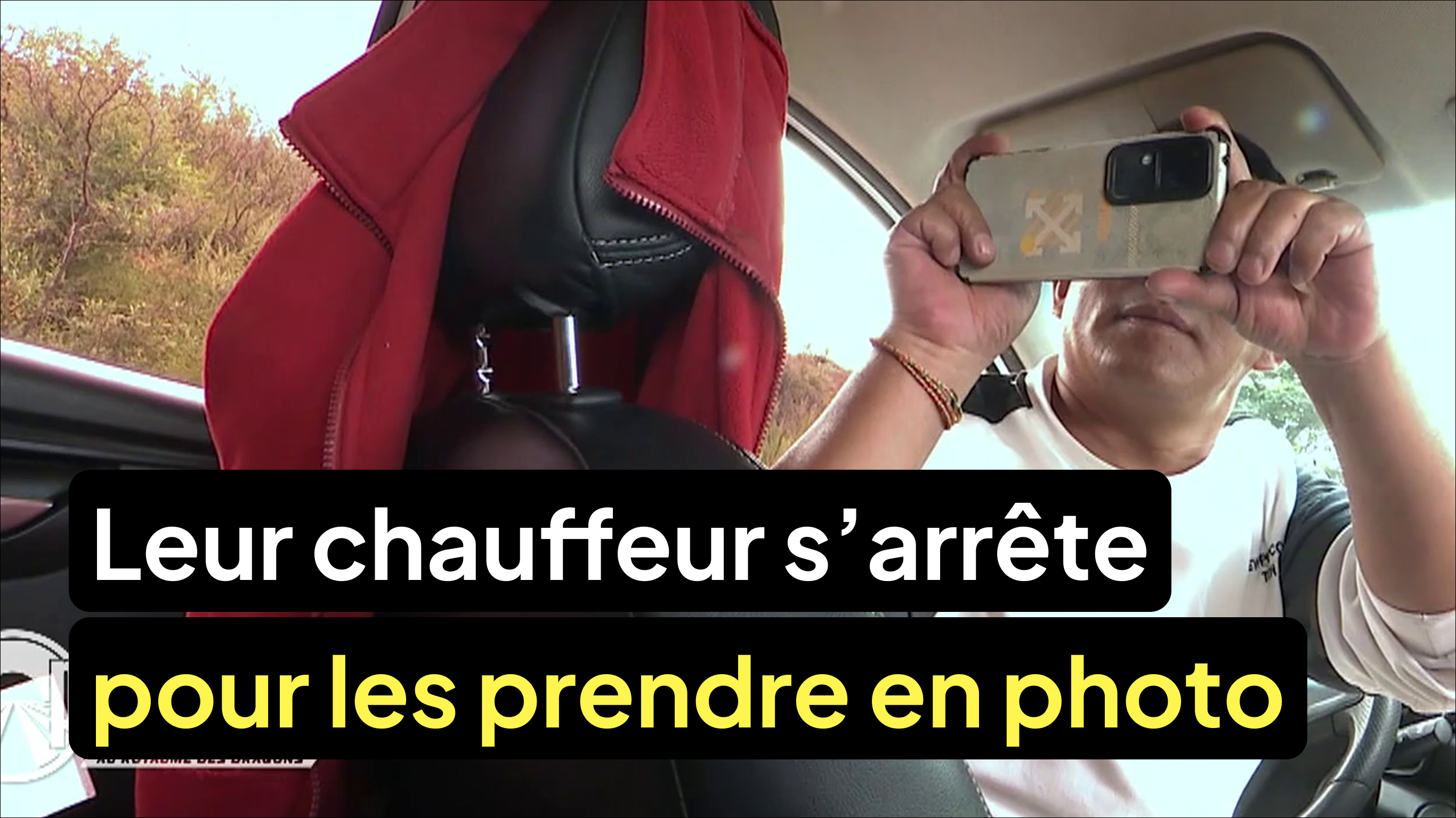 Leur chauffeur s’arrête en pleine course pour les prendre en photo