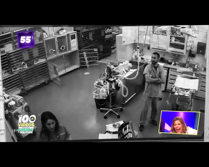 Les 100 vidéos qui ont fait rire le monde entier - spéciale moments de solitude