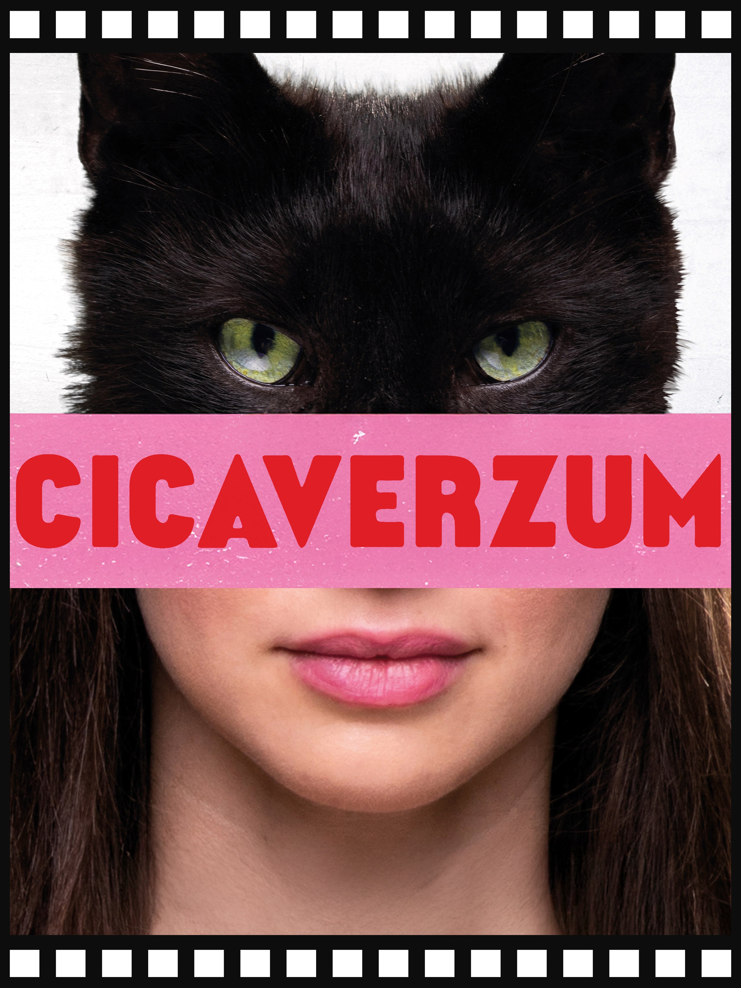 Cicaverzum