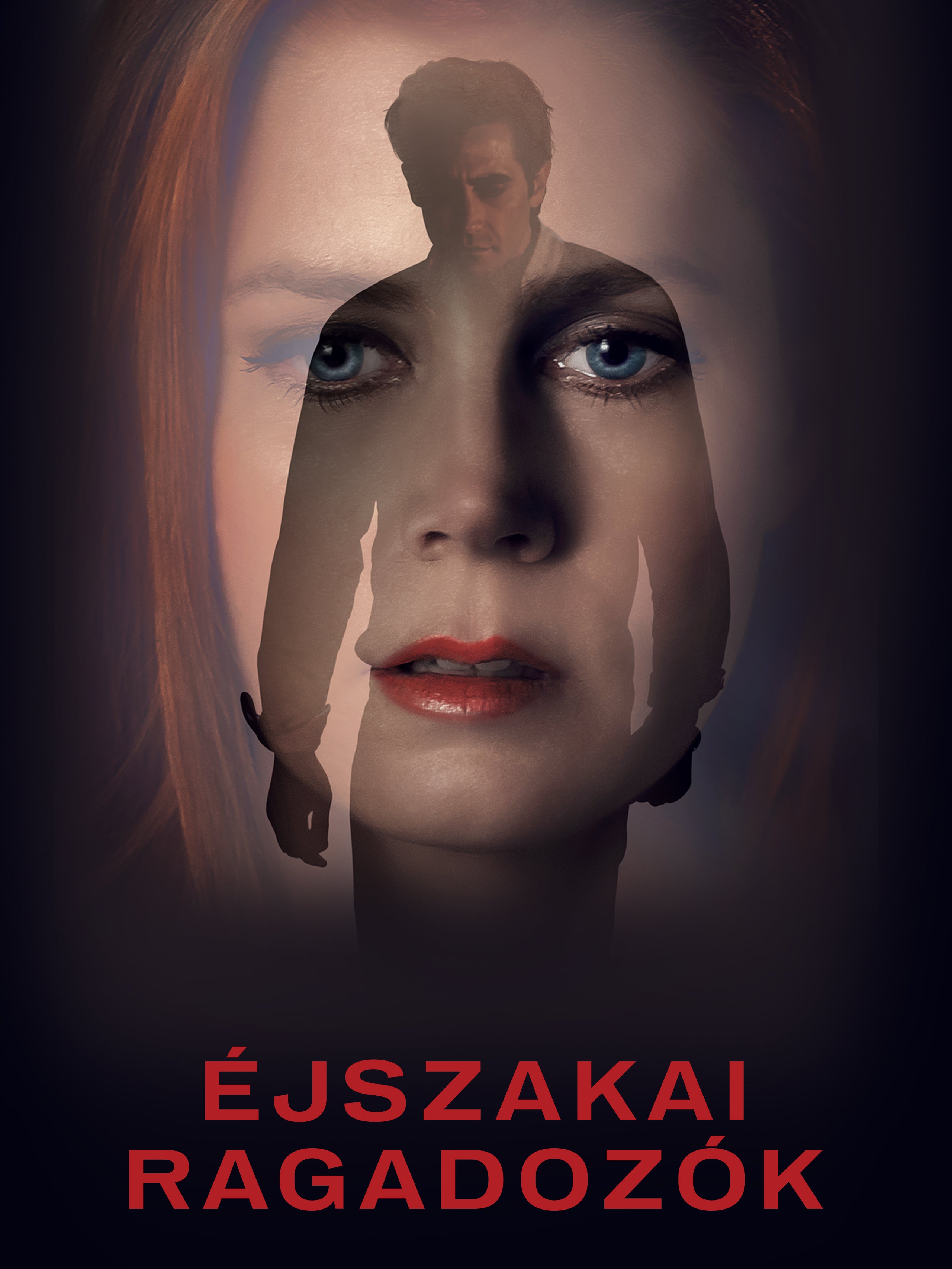 Éjszakai ragadozók