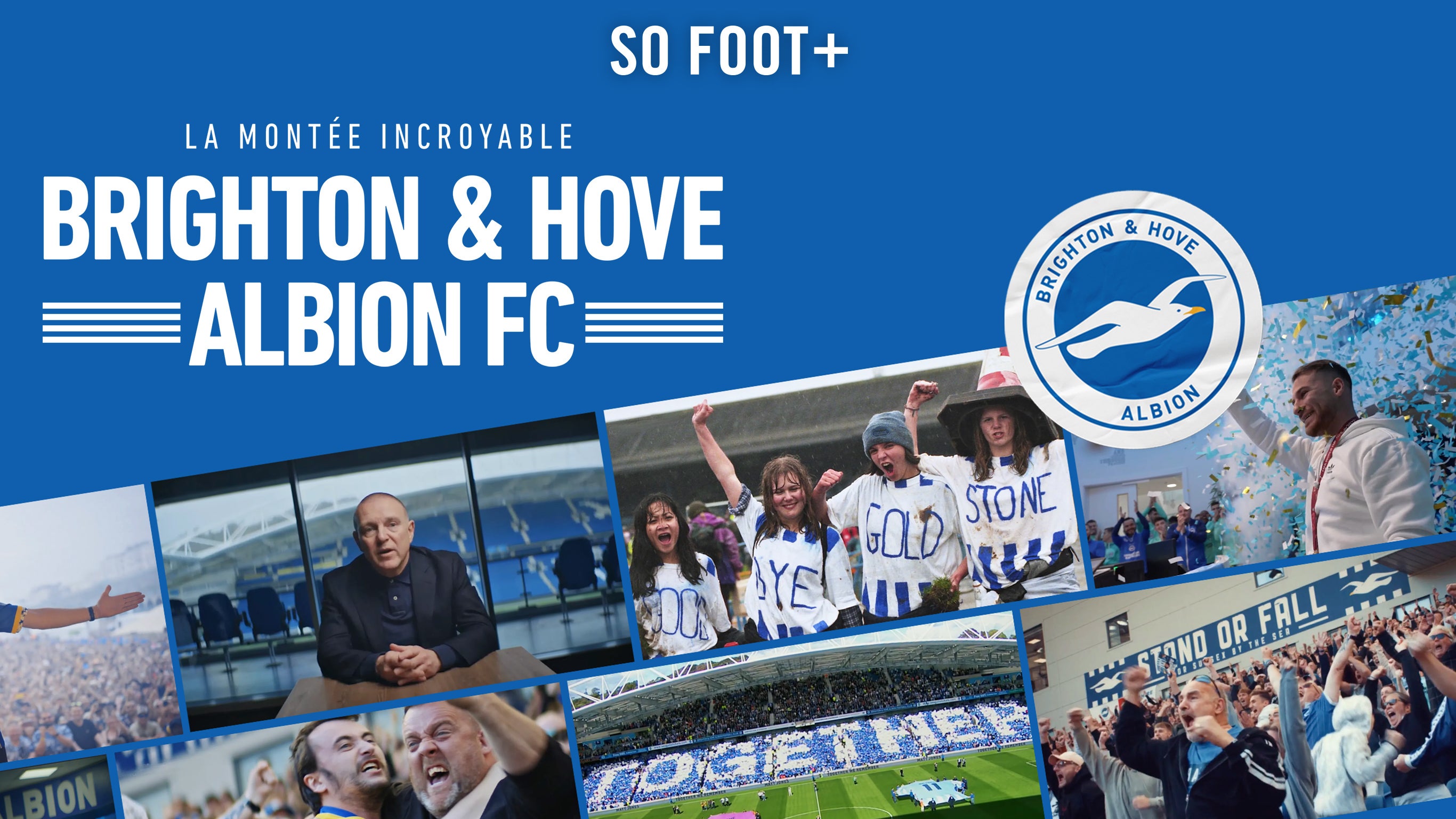 Brighton & Hove Albion FC : la montée incroyable